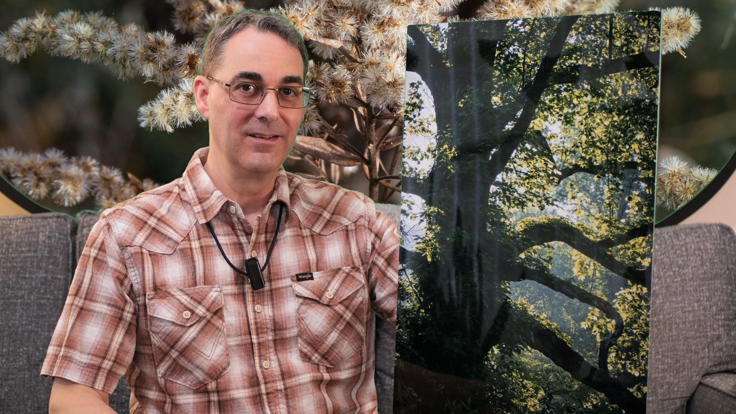 The photographer is sitting on a couch showing a metal photo print of a massive tree, too big for the frame, with gangly branches backlit by a sun-filled mist.