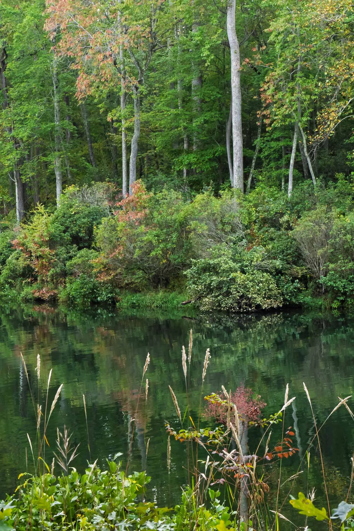 Hint of Autumn 01