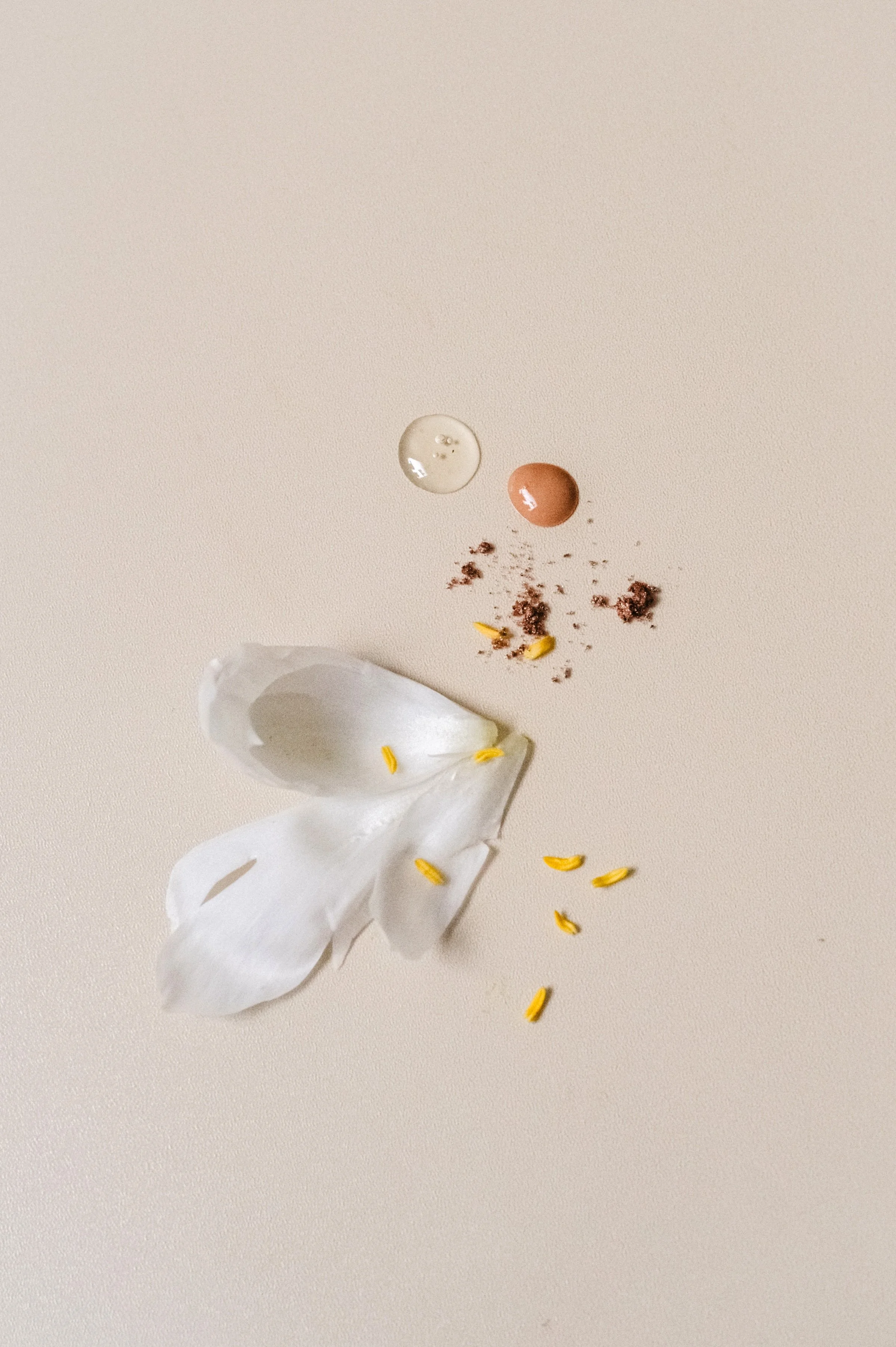 Weiße Blütenblätter, zwei Eierdärme (eines braun, eines cremefarben), zerbrochene Schokoladenstücke, gelbe Blütenpollen und ein Tropfen Wasser auf einer beigen Oberfläche.
