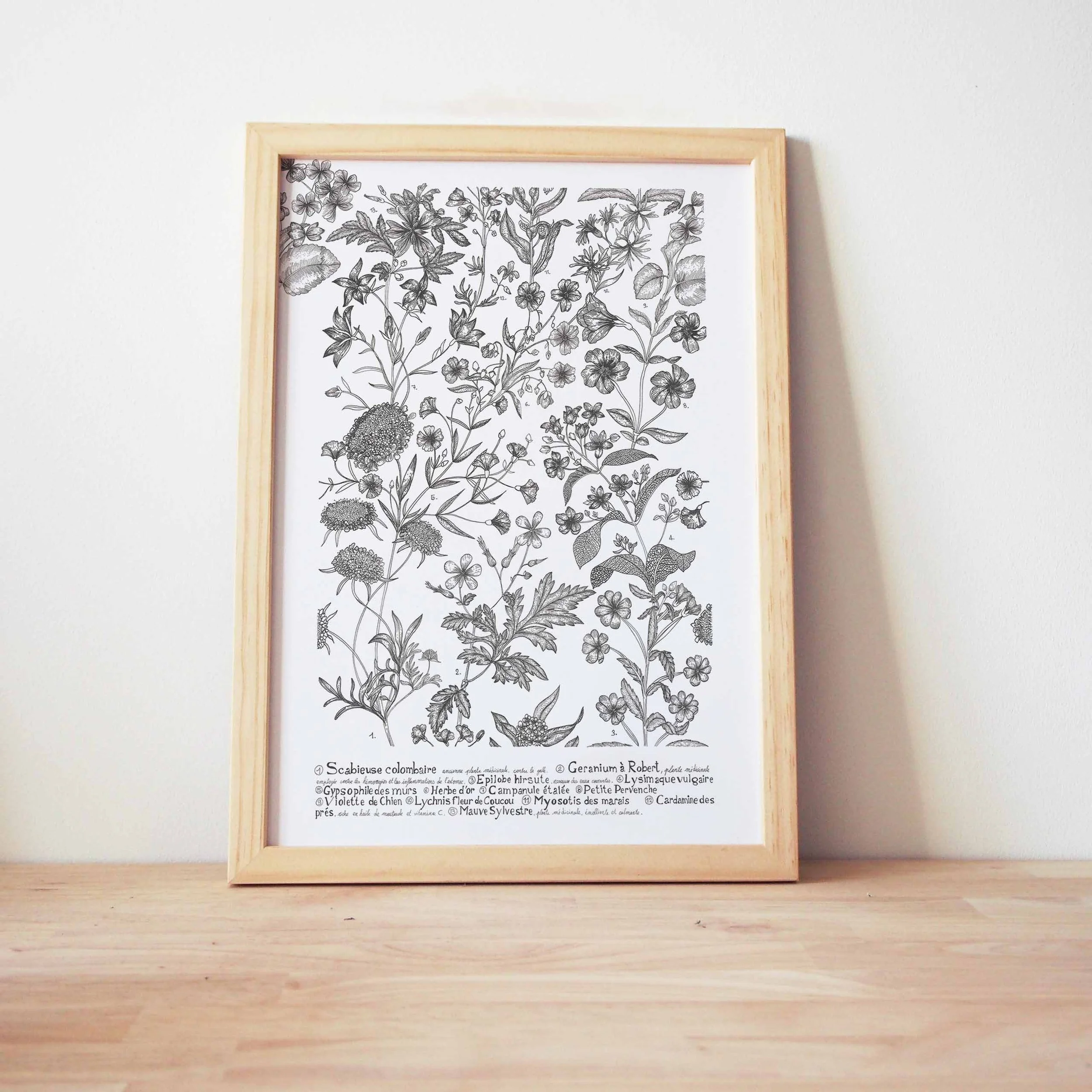 Fleurs des champs A4 cadre.jpg