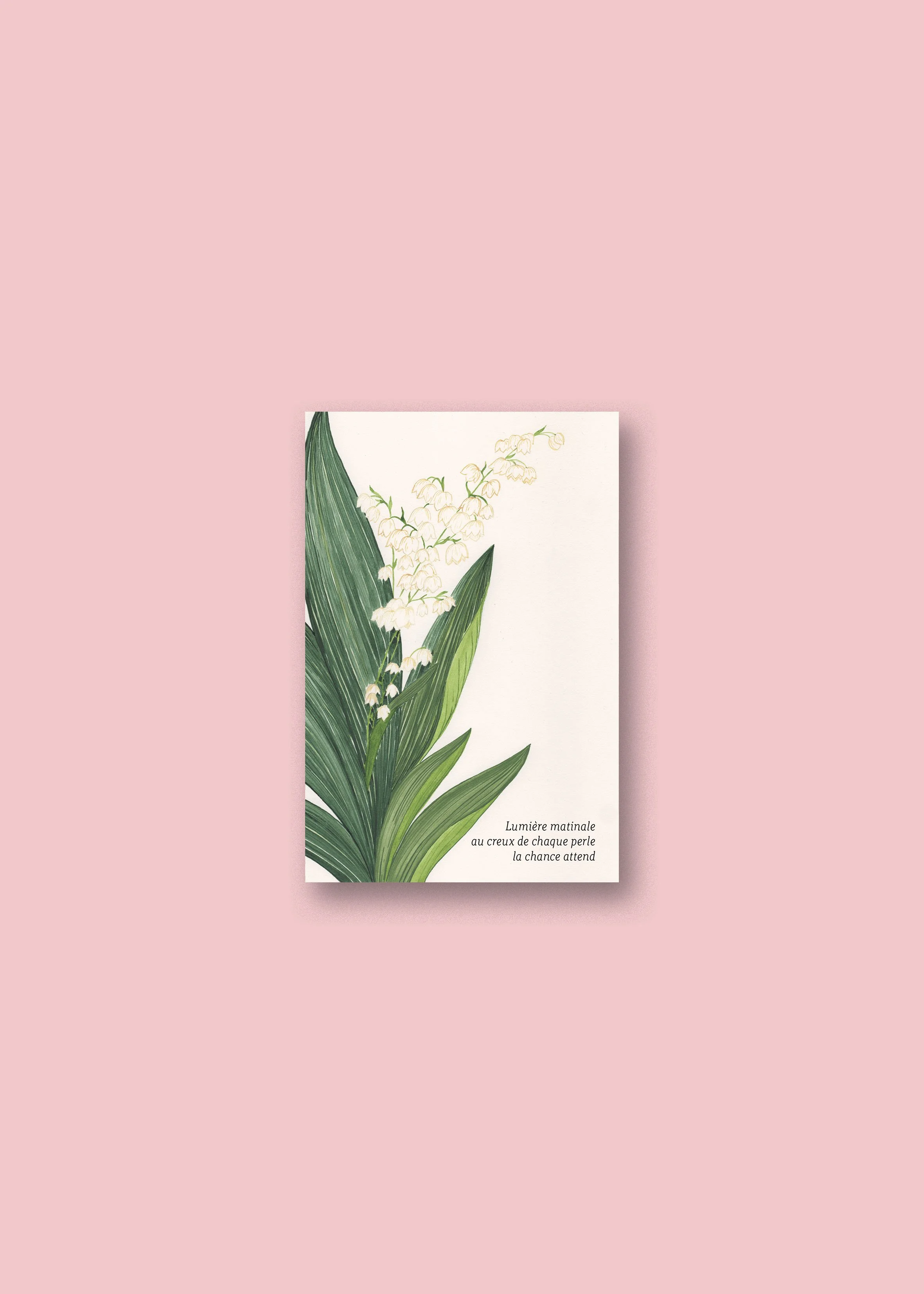 Muguet carte neutre.jpg