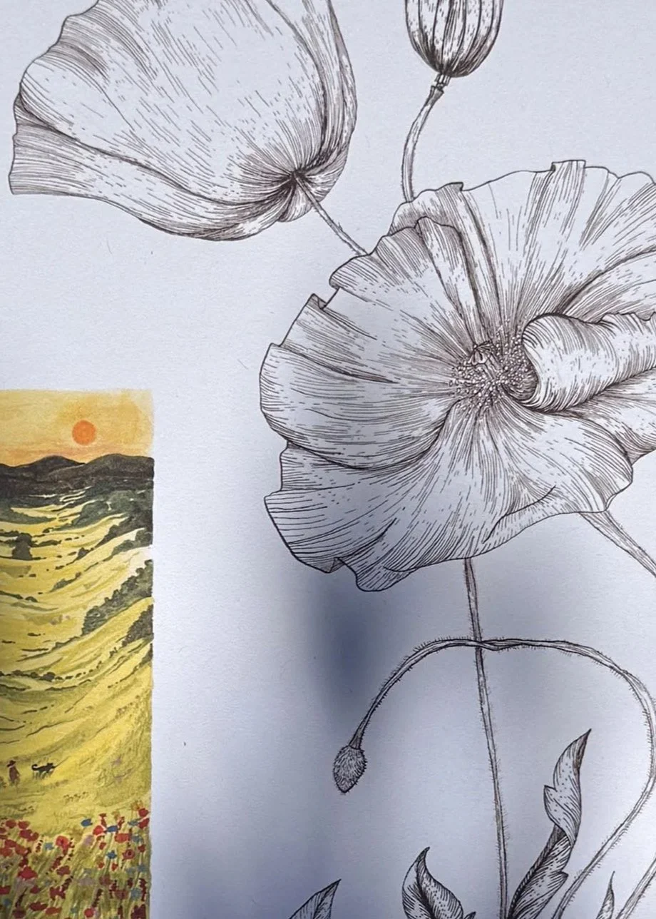 Coquelicot+A4.jpg