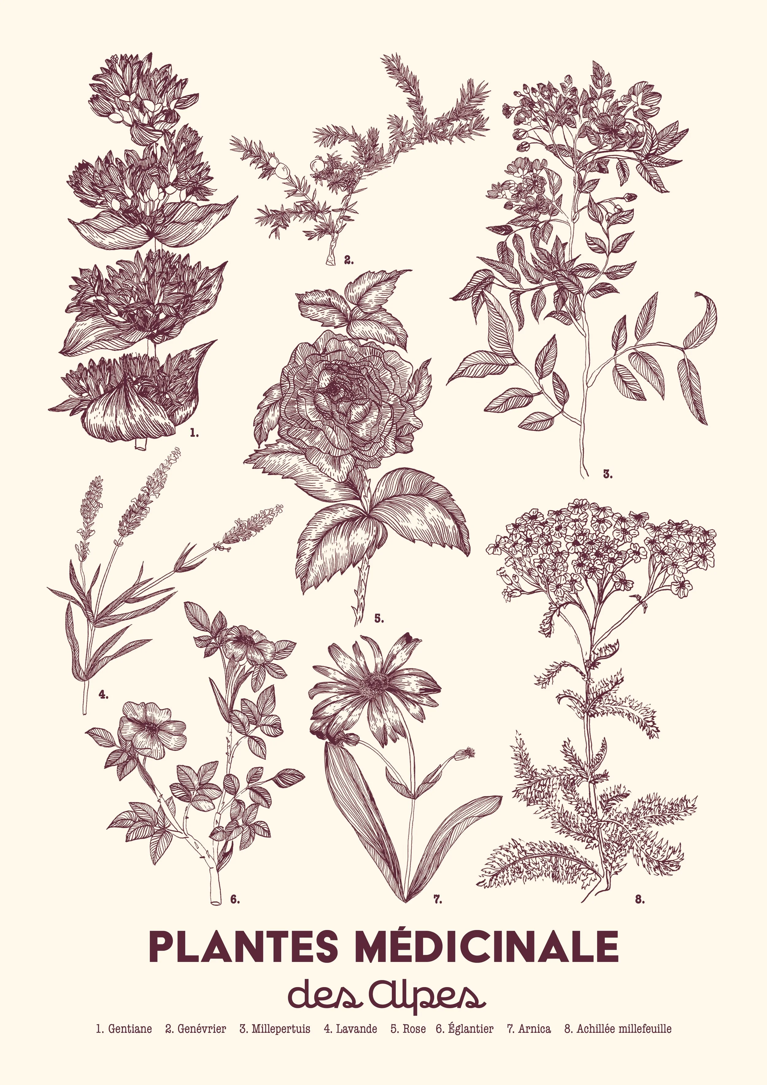 Affiche planche botanique.jpg