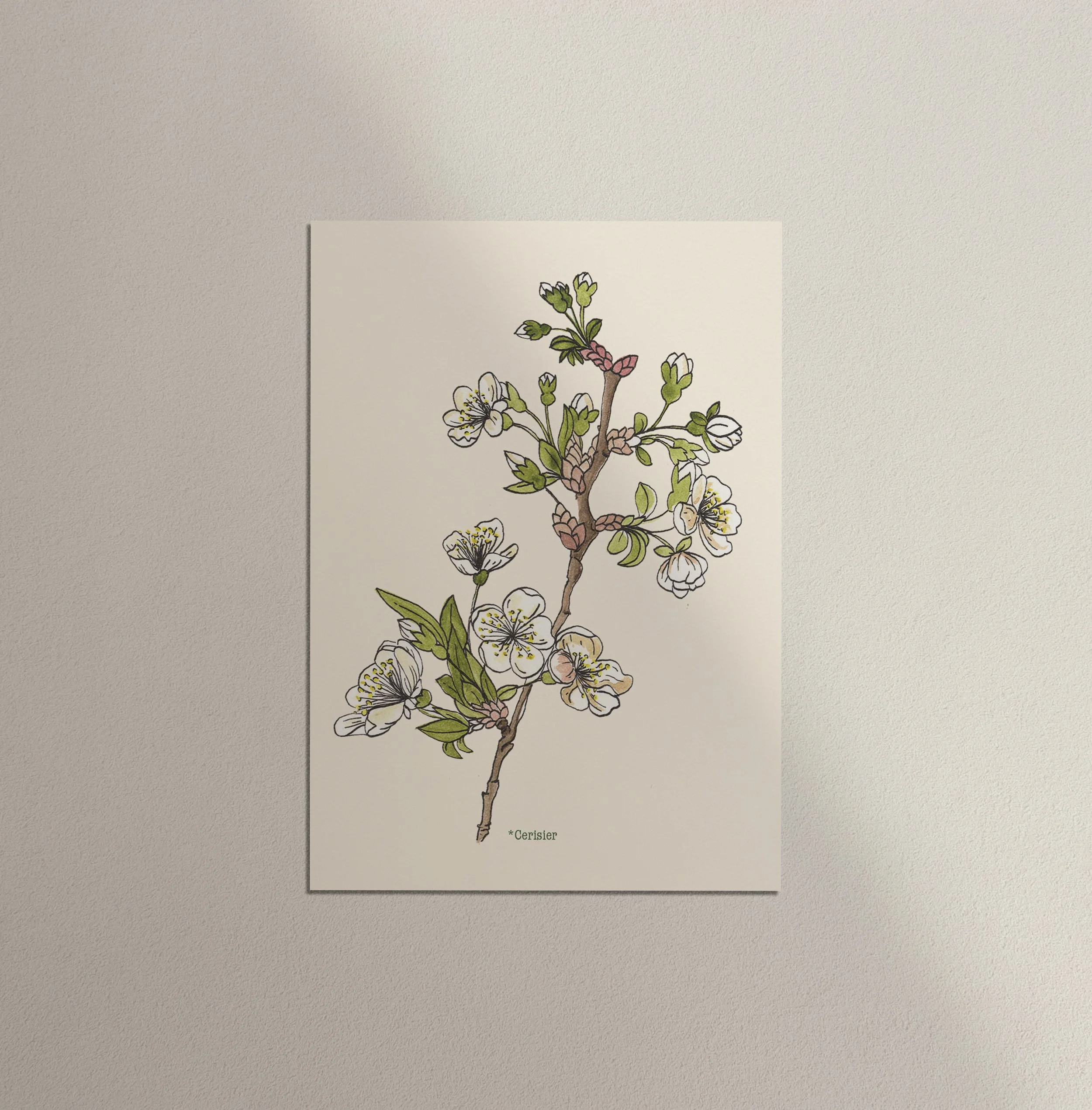 Cerisier.jpg