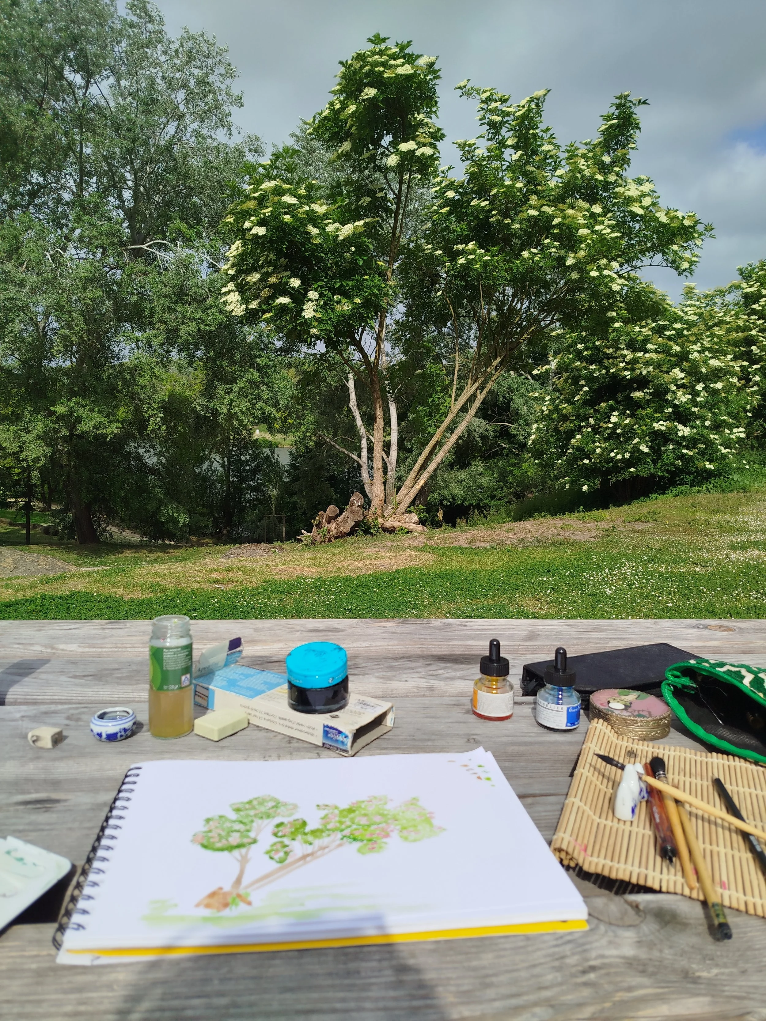 Comment l'art peut nous aider à recréer un lien avec le vivant