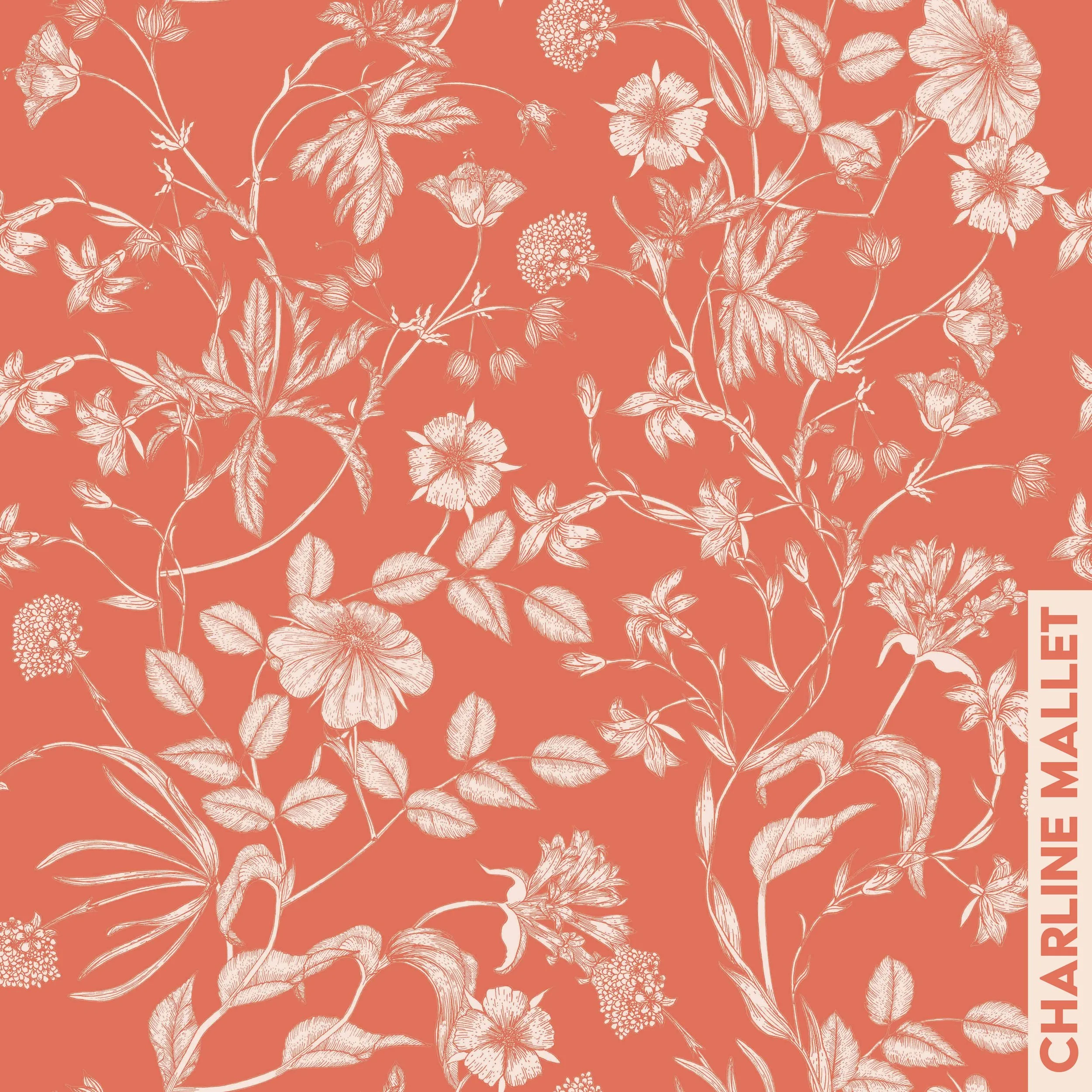 Arabesque des champs - Orange