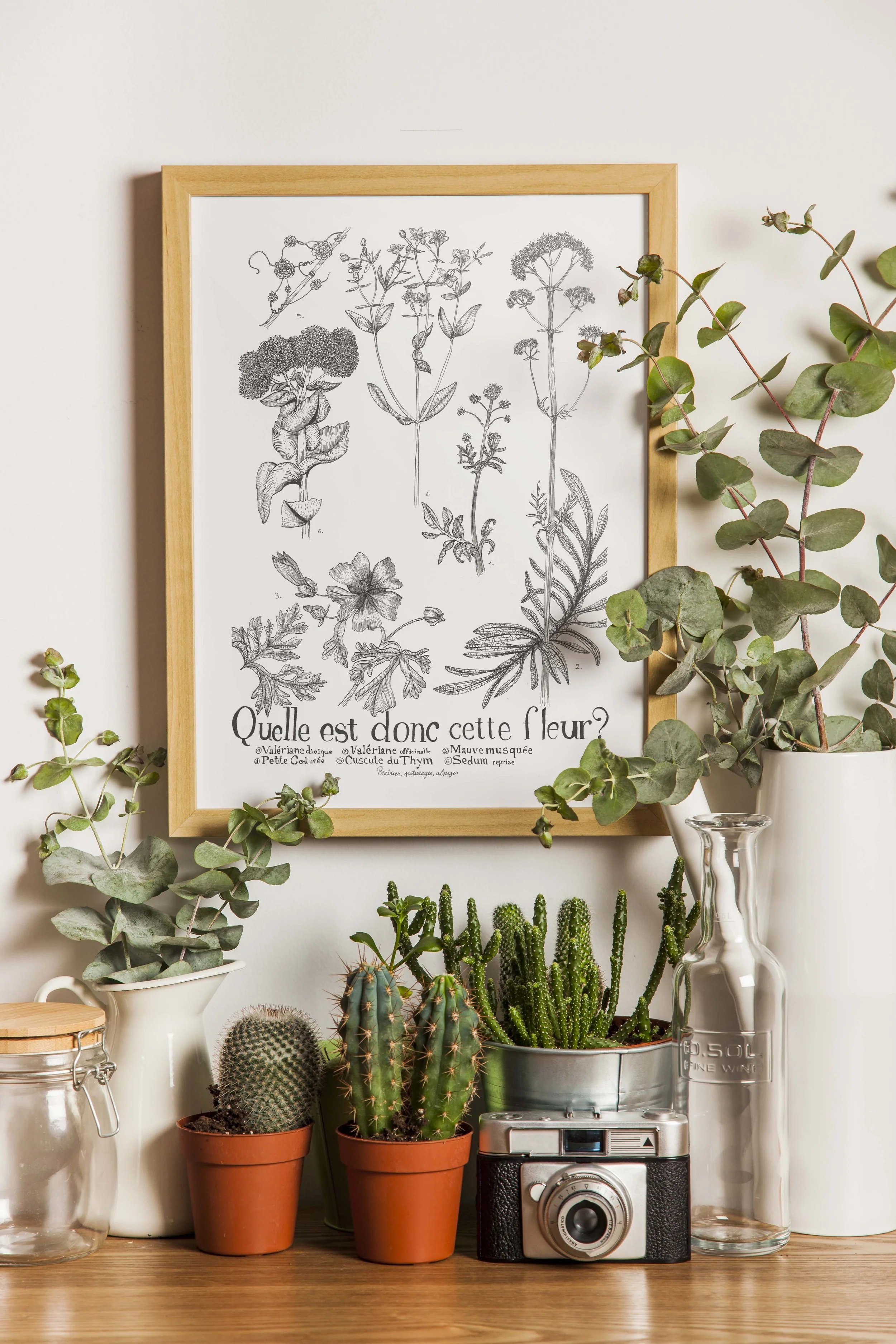 Quelle est donc cette fleur.jpg