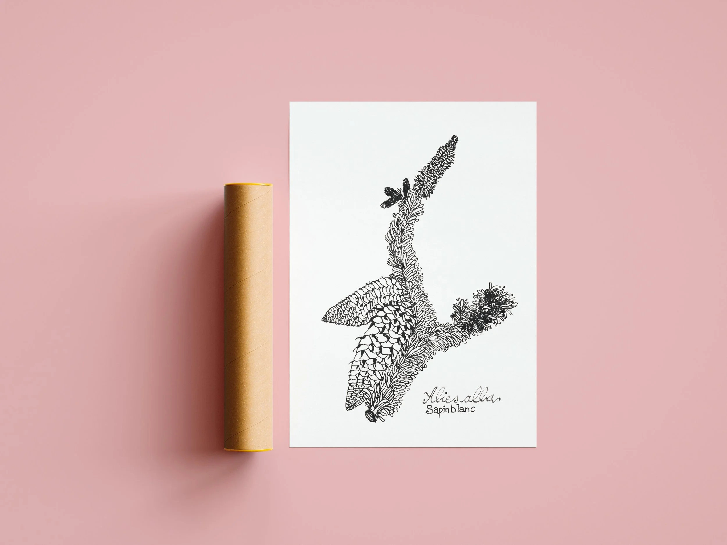 Illustration sur-mesure pour Olivier