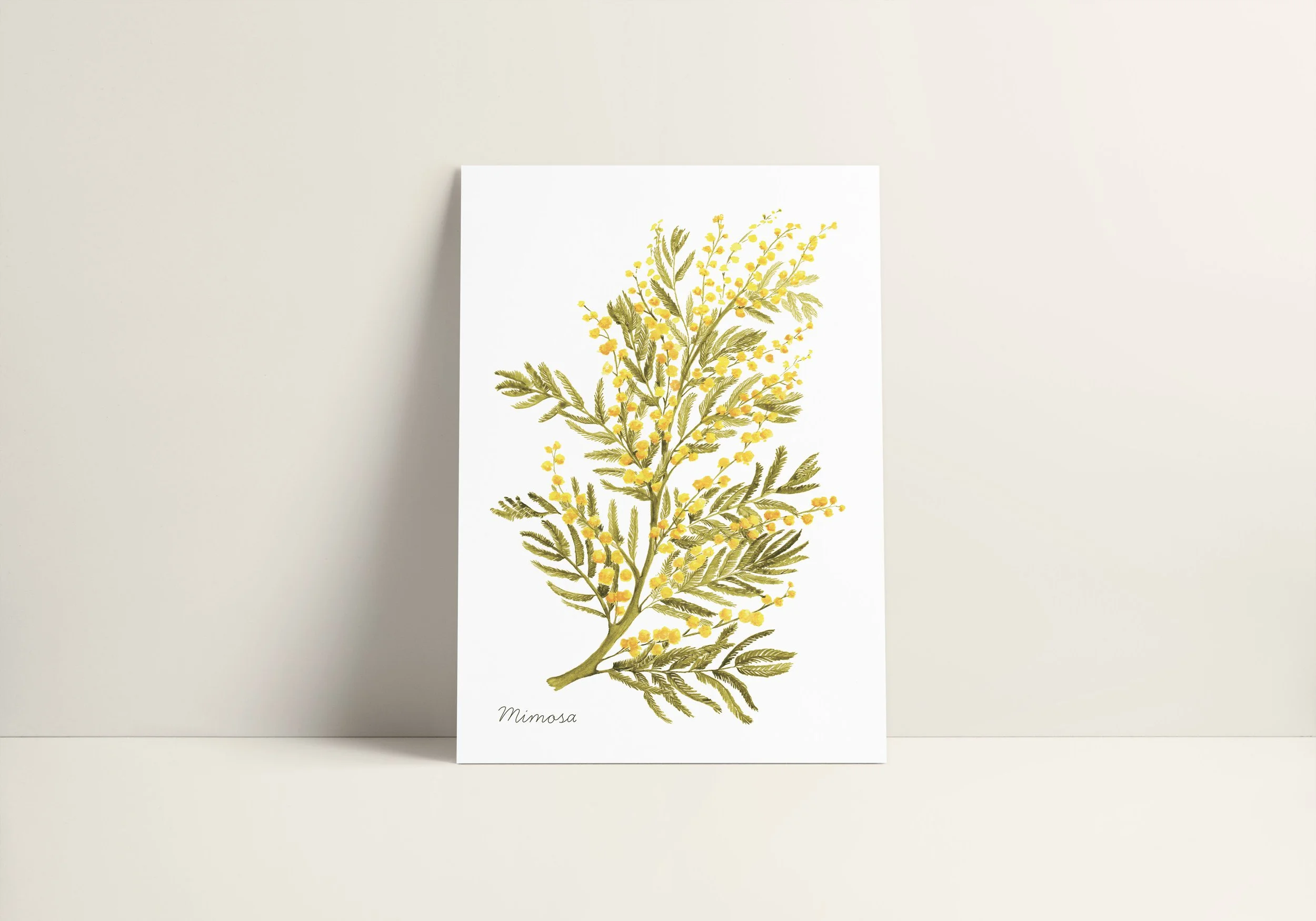 Mimosa Poster.jpg