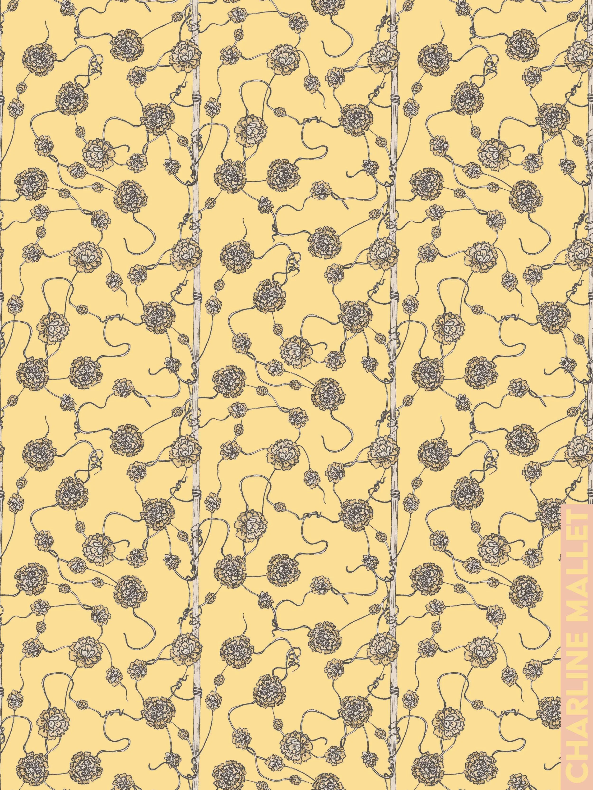 Cuscute du thym - Jaune