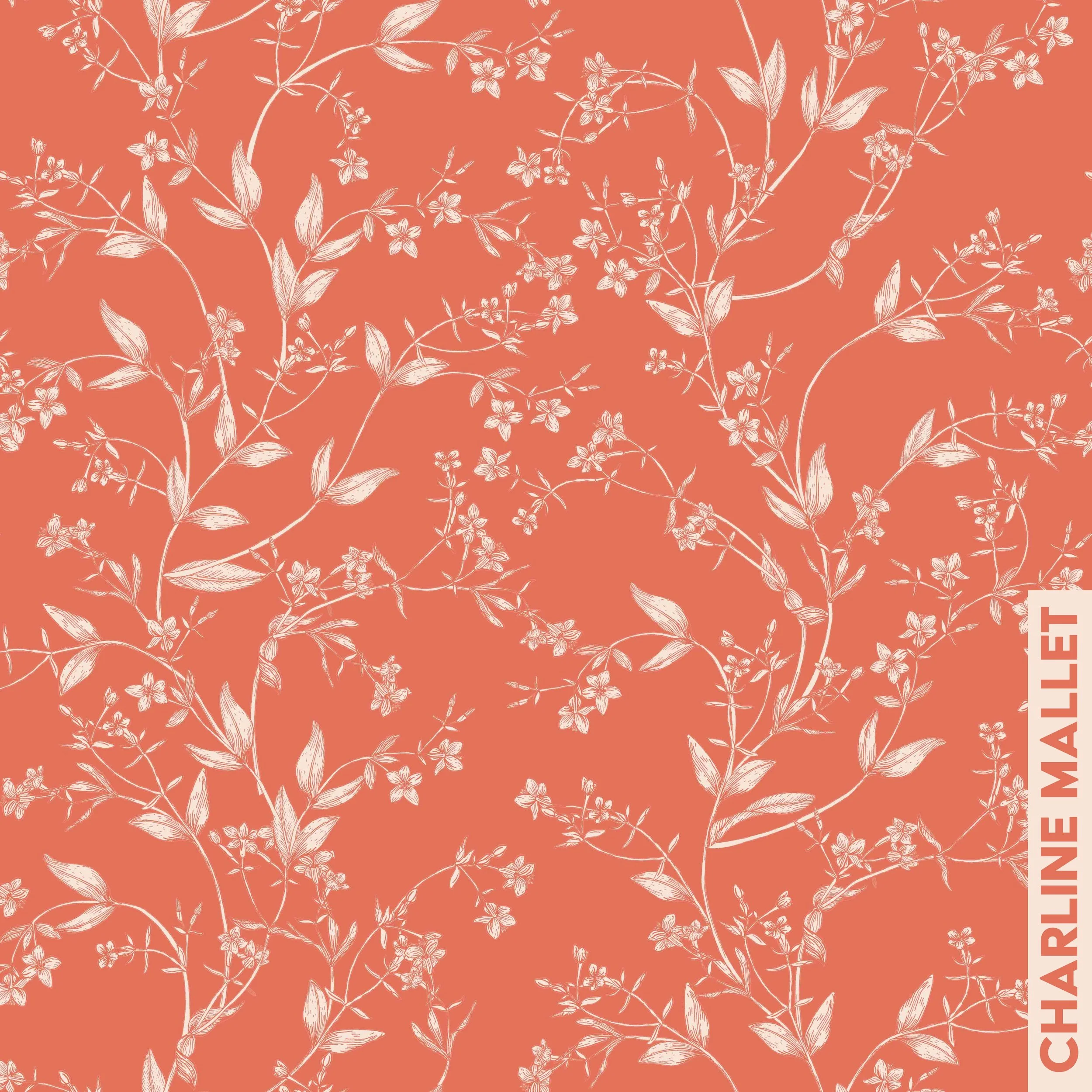 Petite Centurée - Orange.jpg
