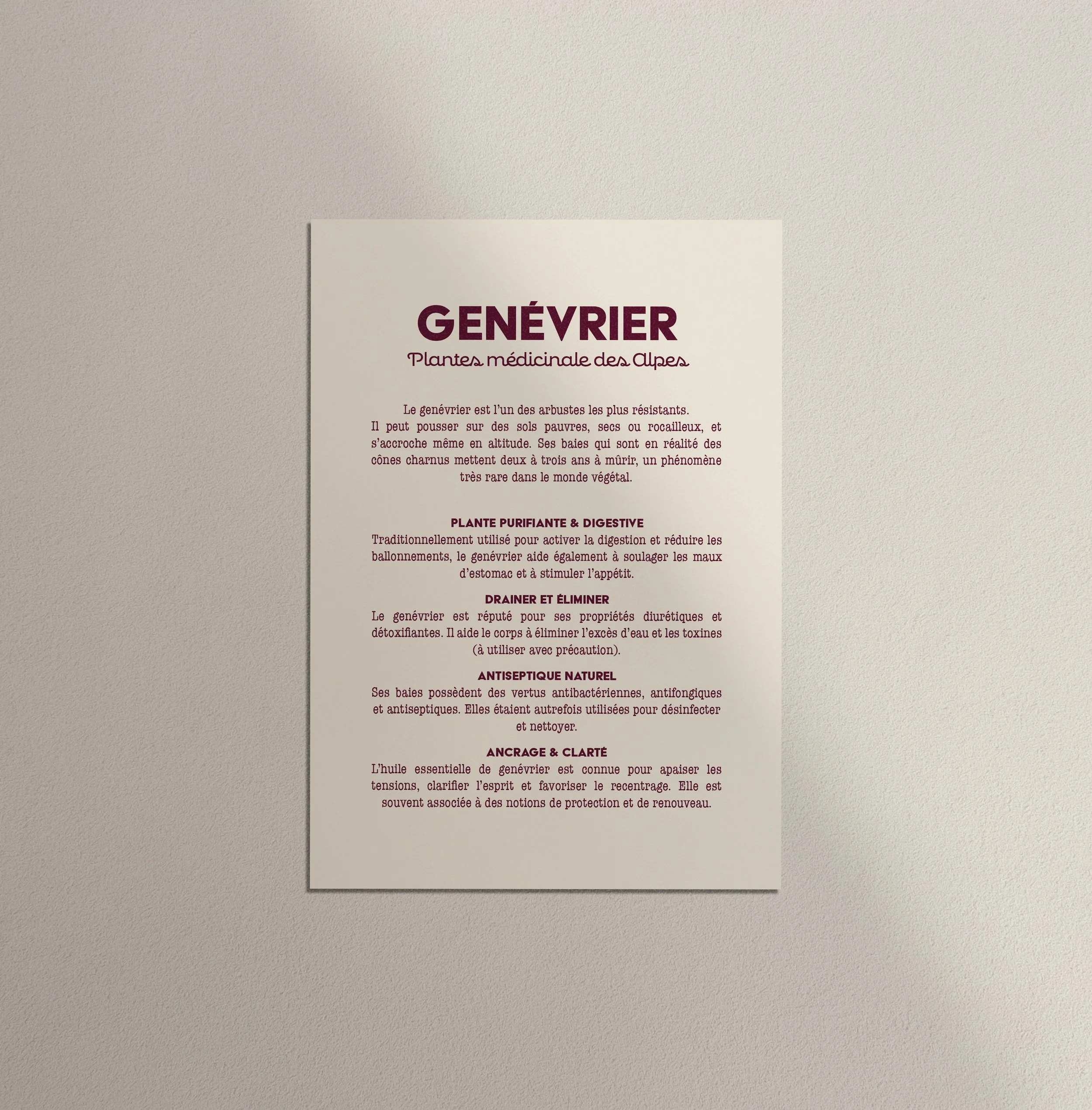 Genevrier verso.jpg
