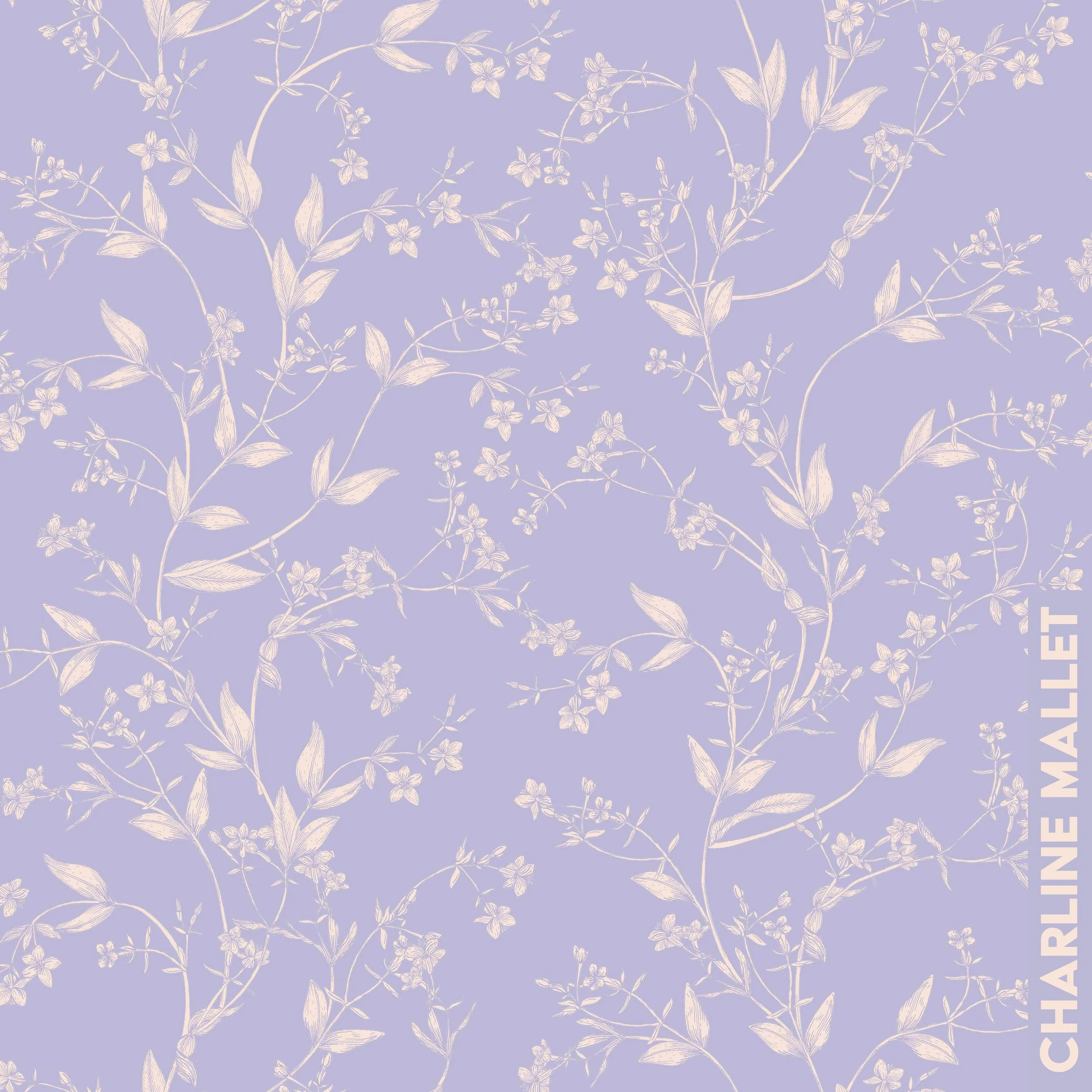 Petite Centurée - Violet