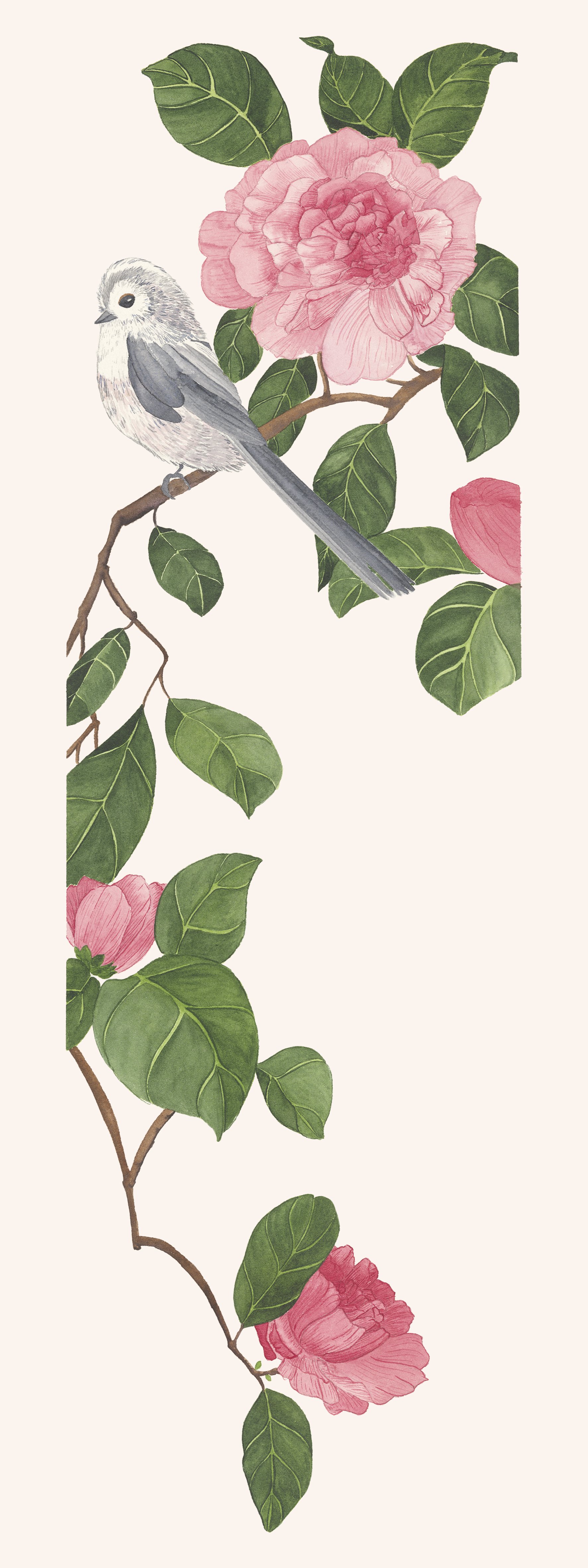 Camelia & Mésange à longue queue
Le saviez-vous ?
Le camélia fleurit au cœur de l’hiver ou au tout début du printemps.
Très sociable, la mésange (orite) à longue queue se serre contre ses congénères sur une branche pour conserver sa chaleur durant le