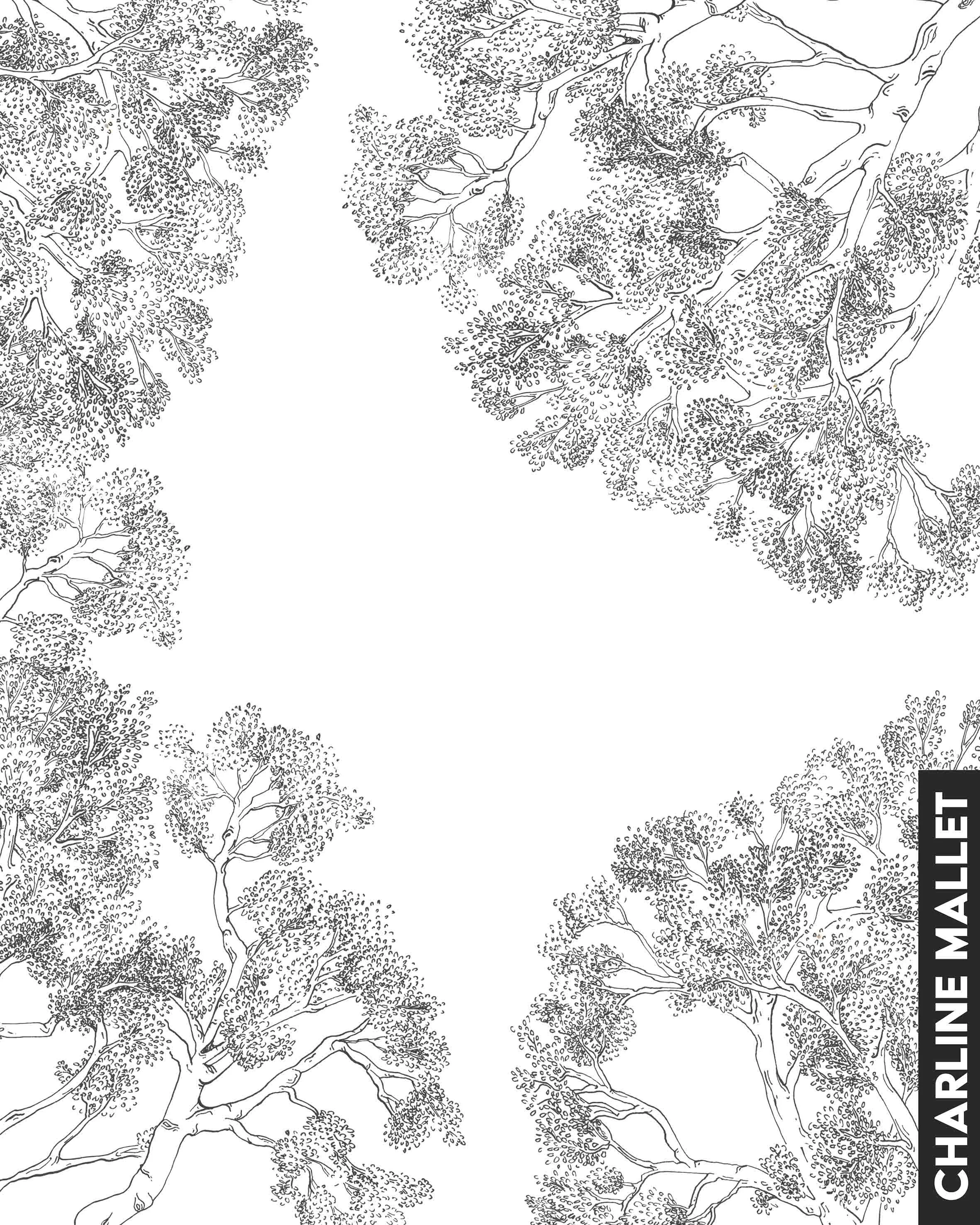 Plafond-MC.jpg