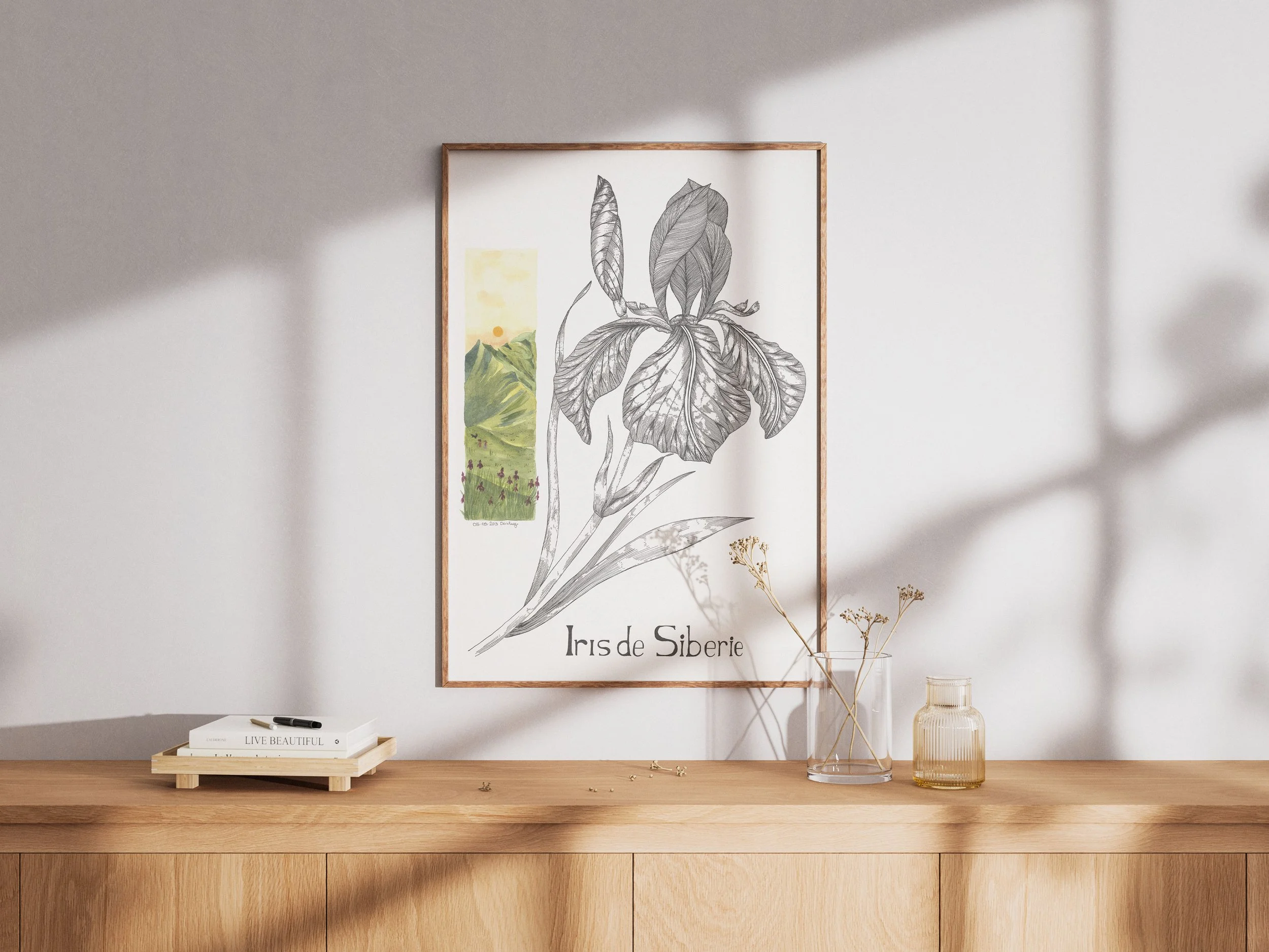 Iris de sibérie vue 3.jpg