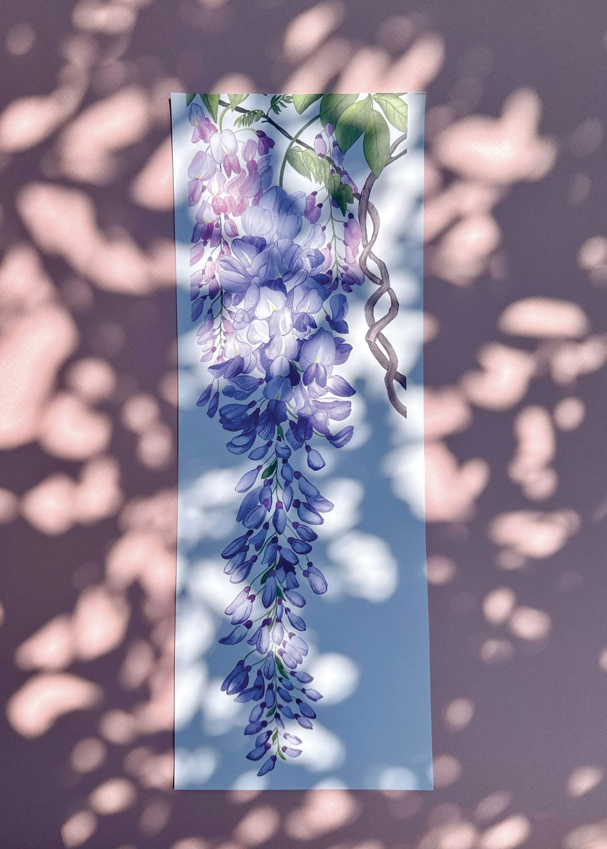 Glycine - Tirage d’art