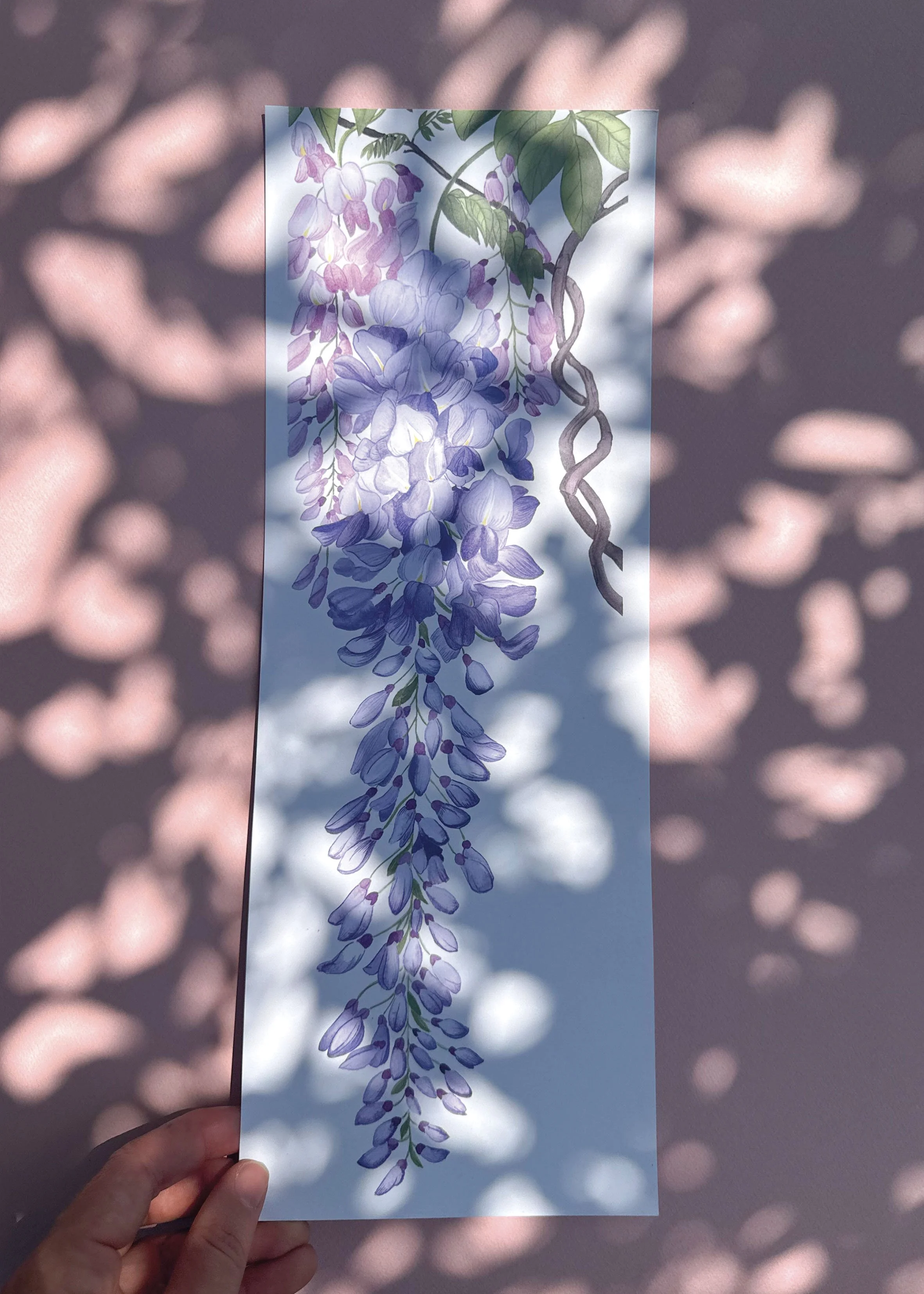 Glycine Grande affiche main.jpg