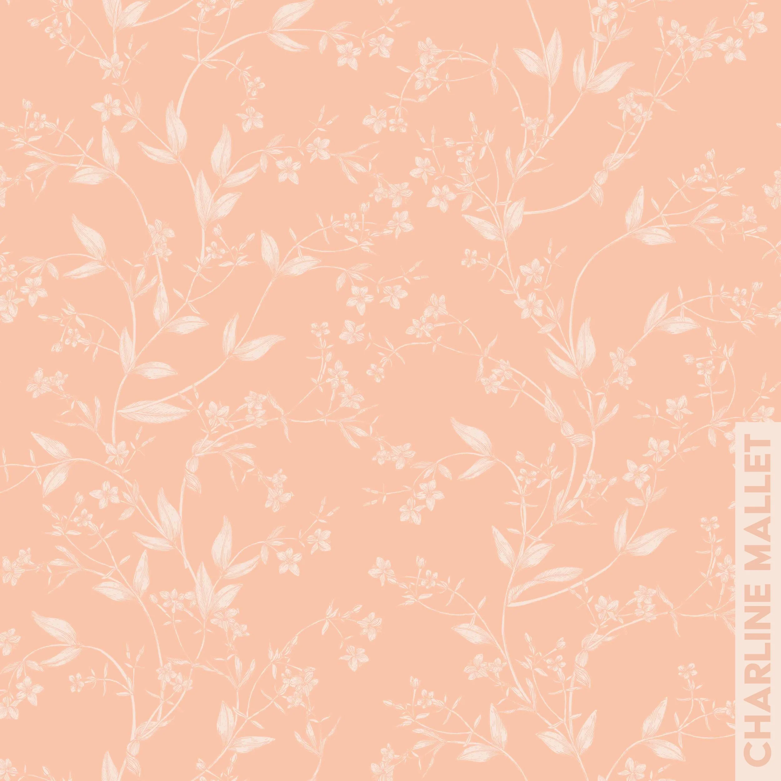 Petite Centurée - Corail