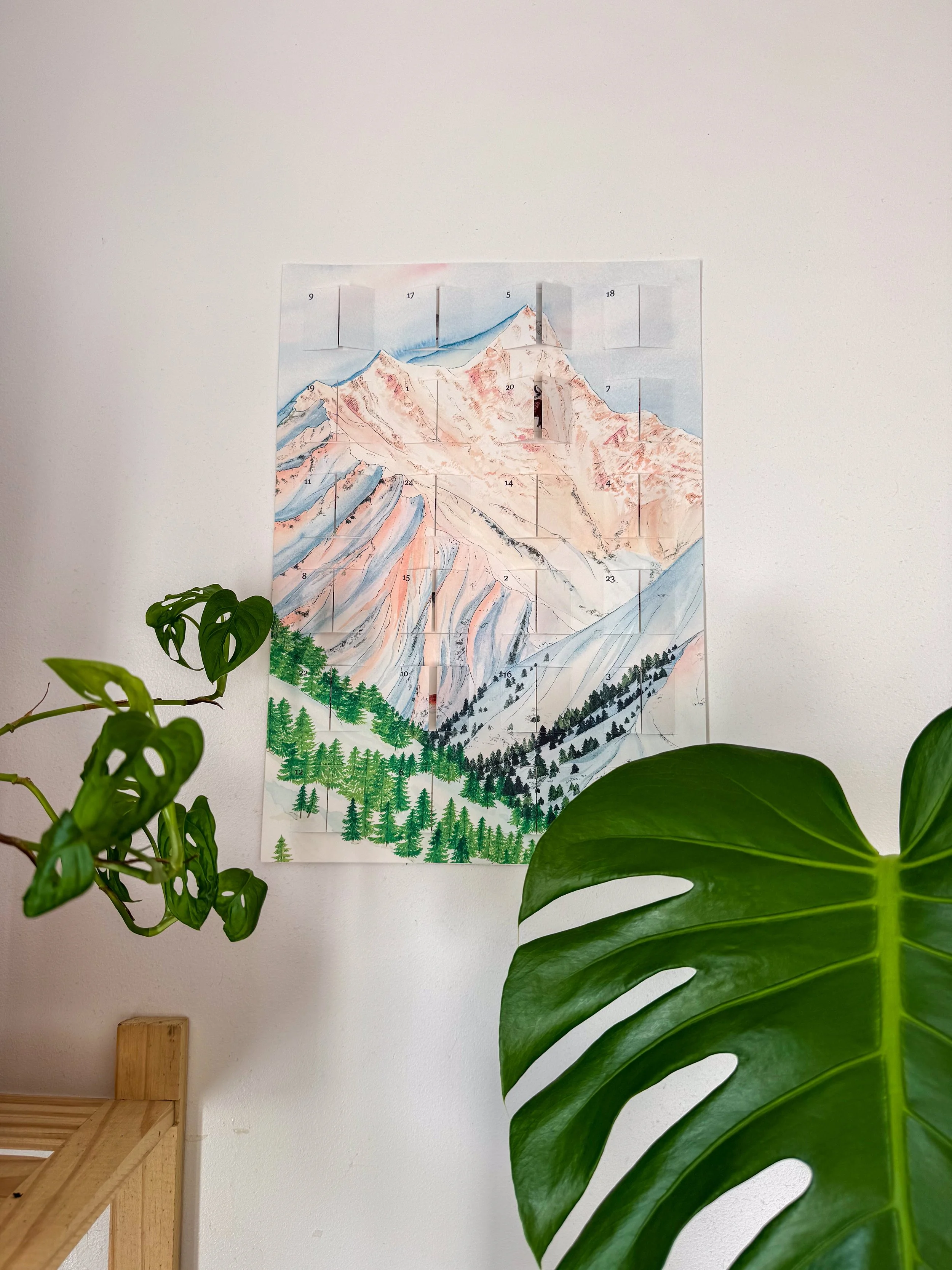 Montagne-et-sa-biodiversite-Charline_mallet-plante.jpg