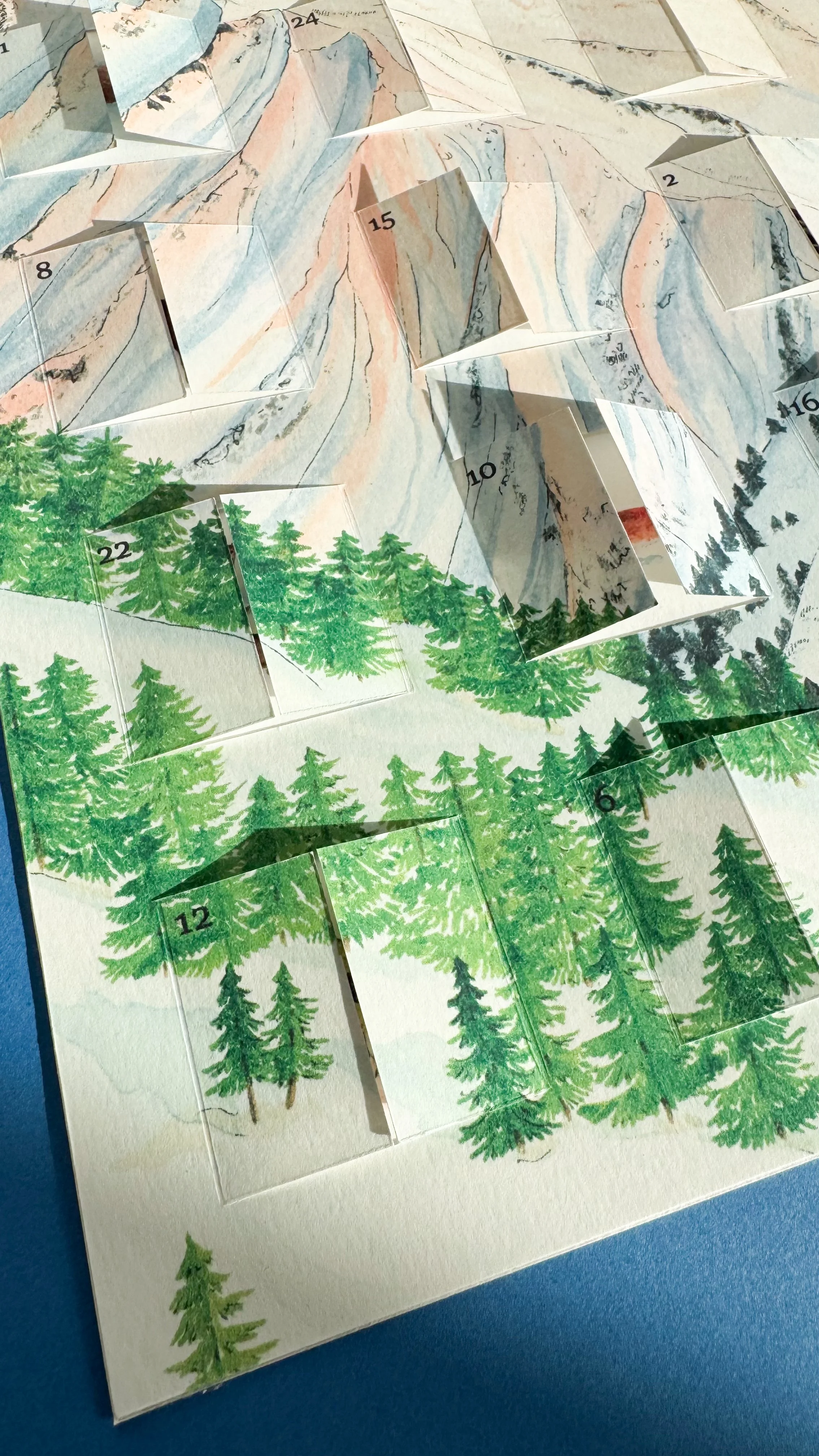 Montagne-et-sa-biodiversite-Charline_mallet-sapin-blanc.jpg