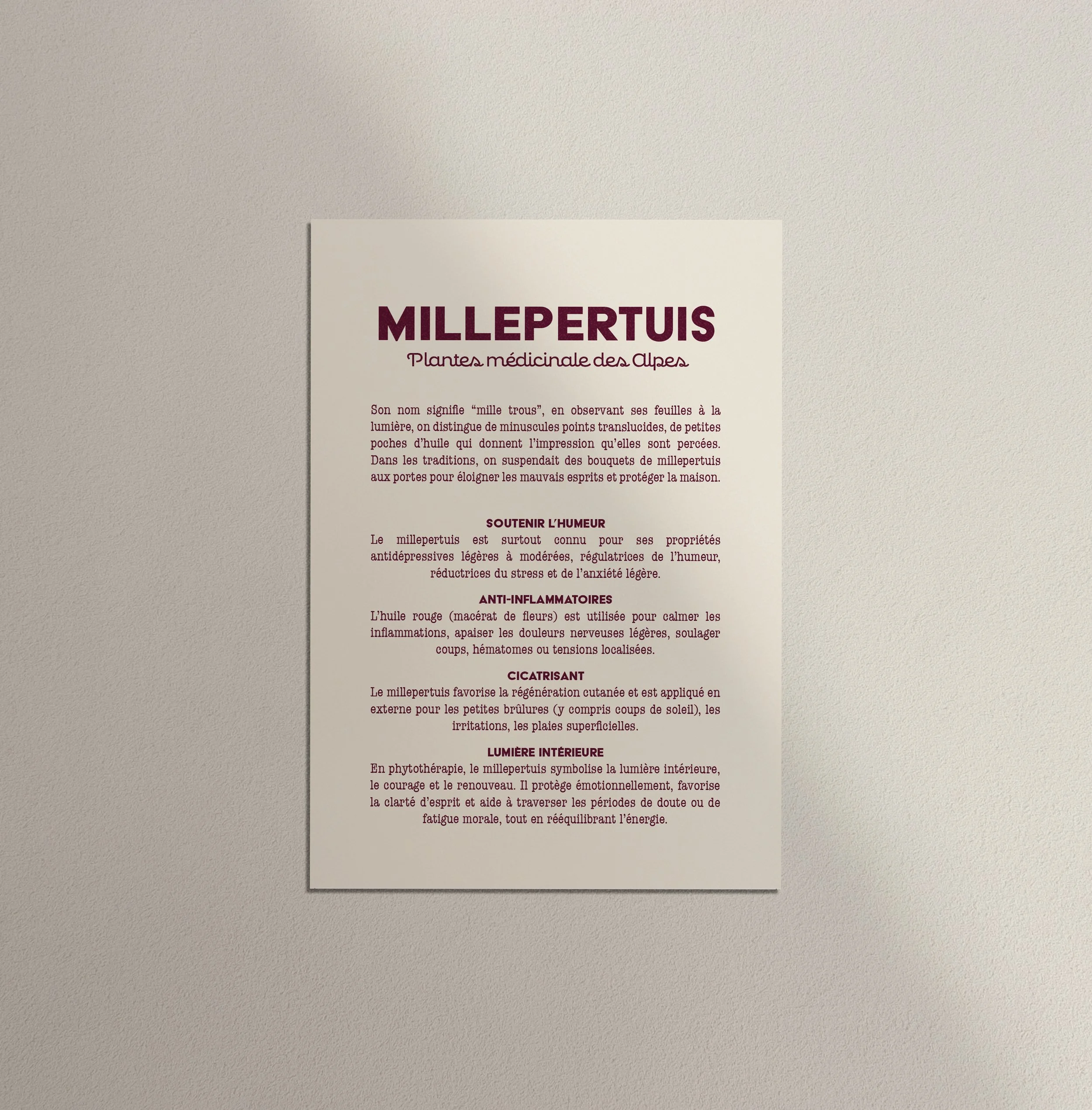 Millepertuis verso.jpg