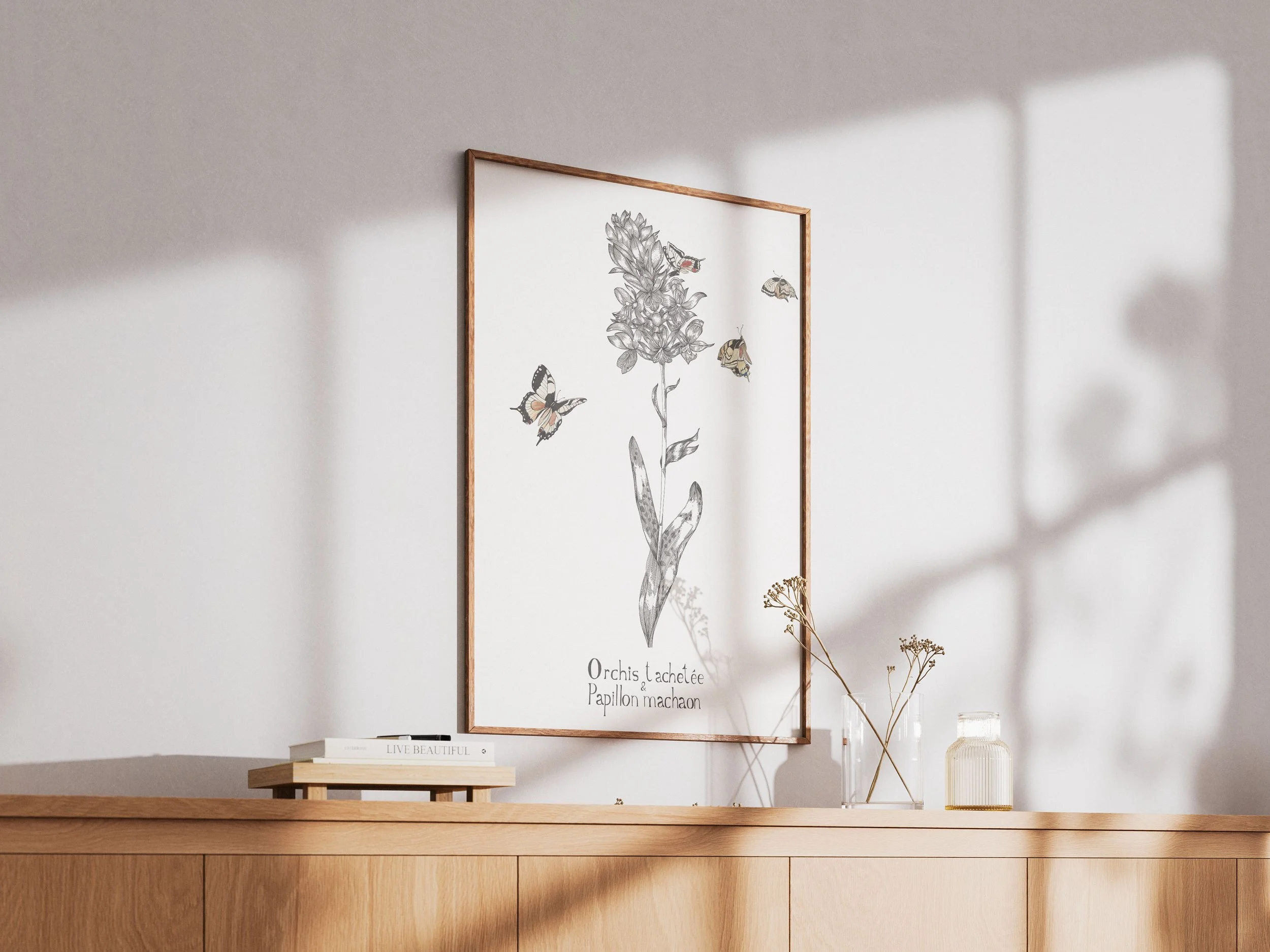 Orchis tachetée vue 2.jpg