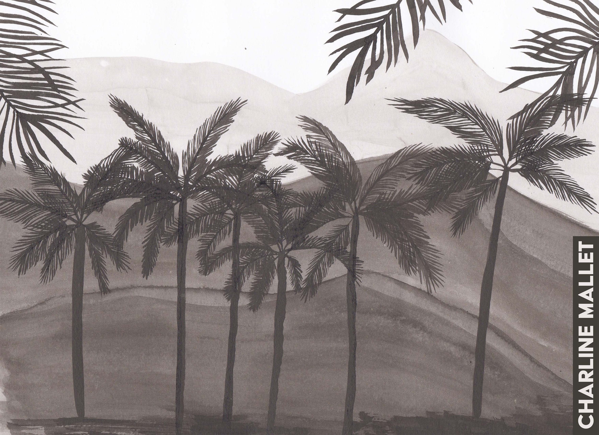 Colombie - Cocora
