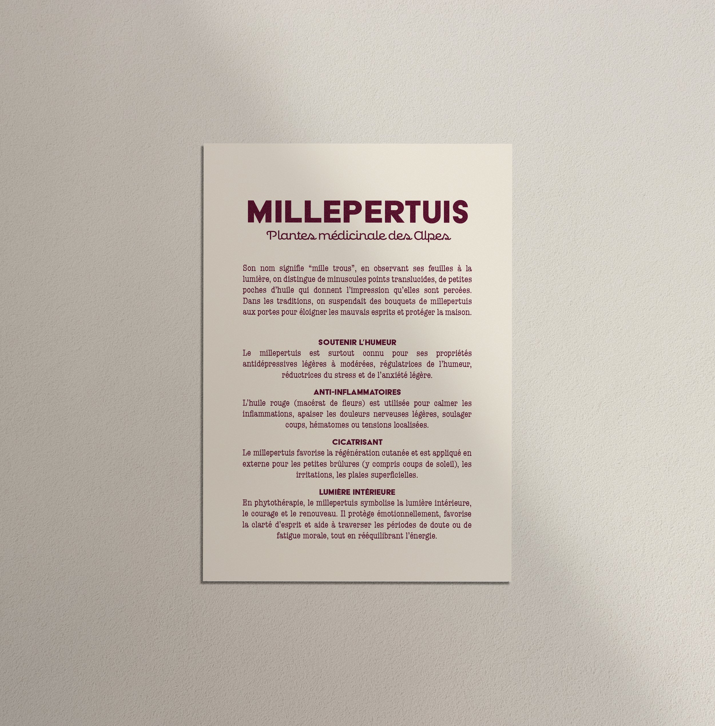Millepertuis verso.jpg