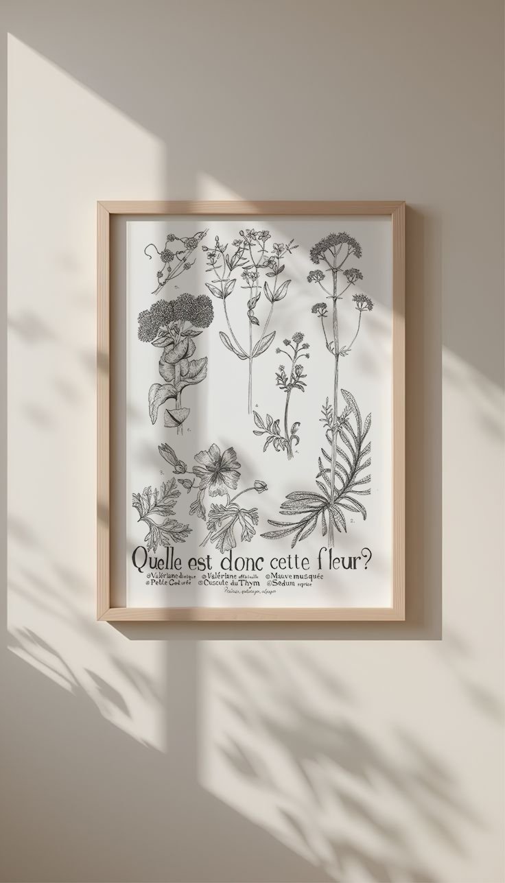 Quelle est donc cette fleurs 3.jpg