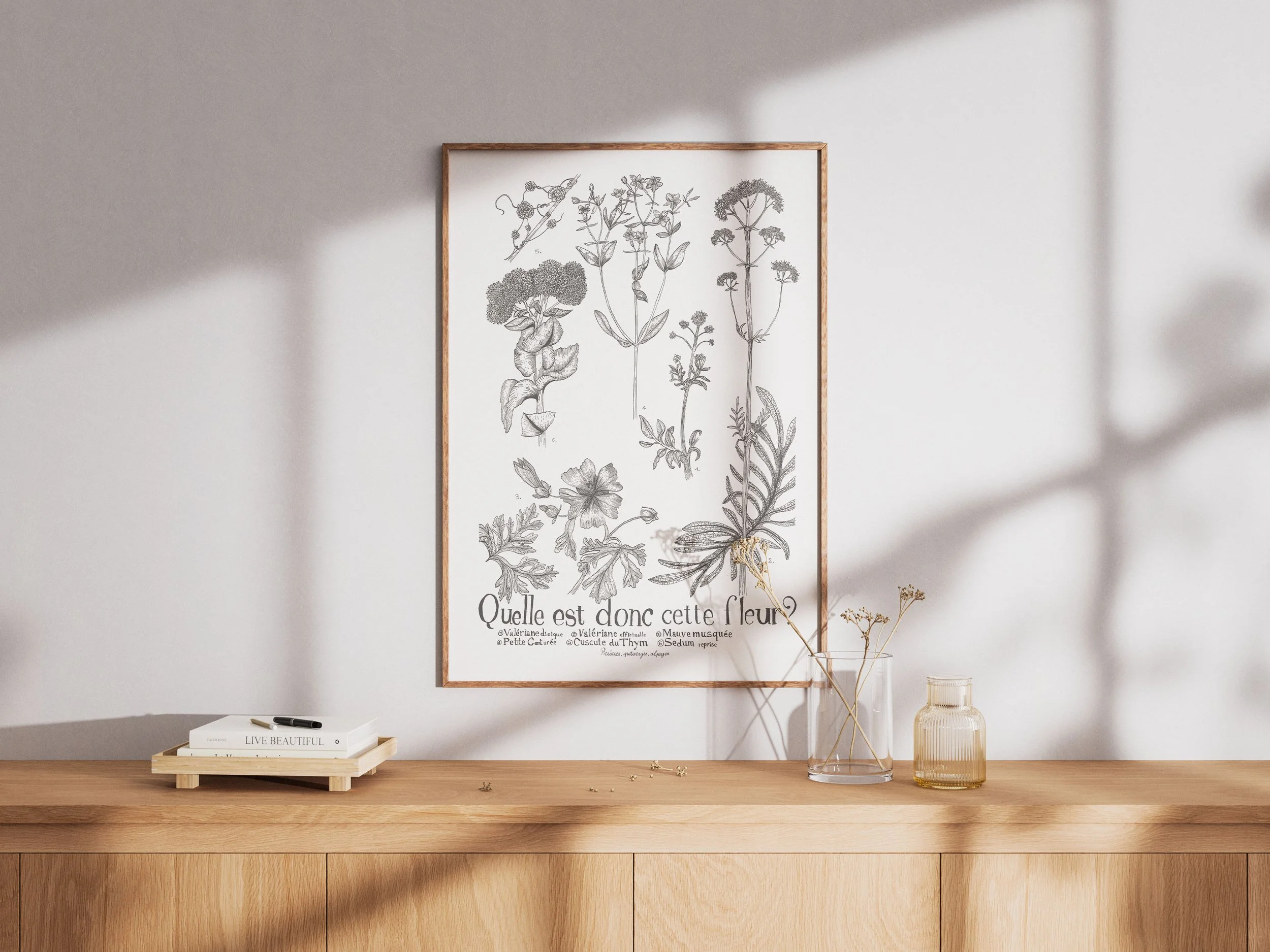 Quelle est donc cette fleurs vue 3.jpg (copie)