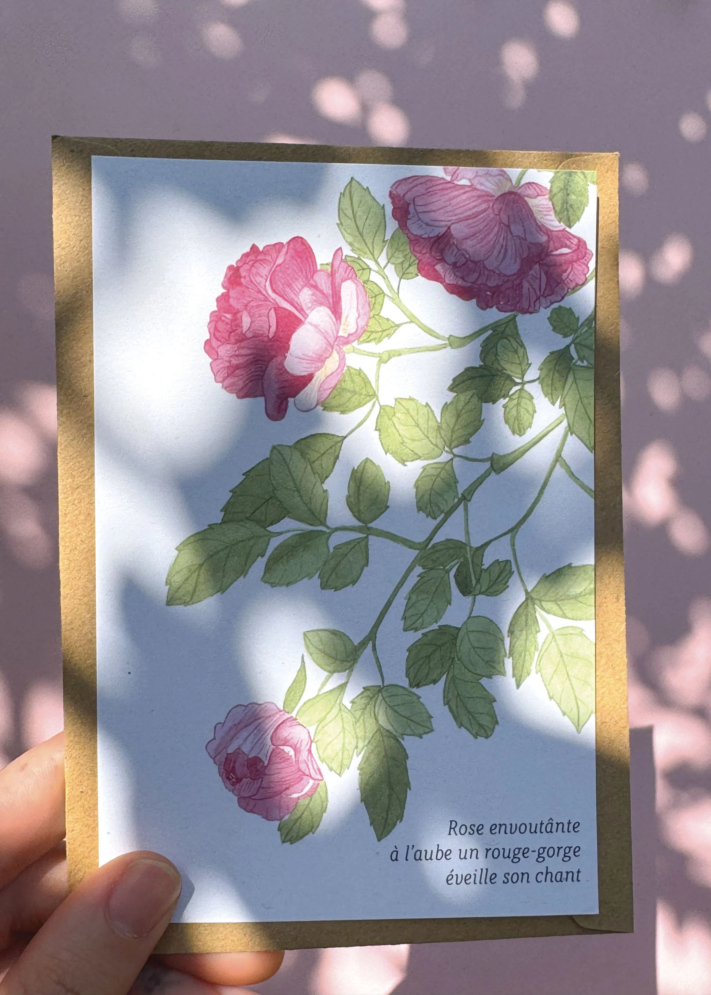 Rose carte MN.jpg