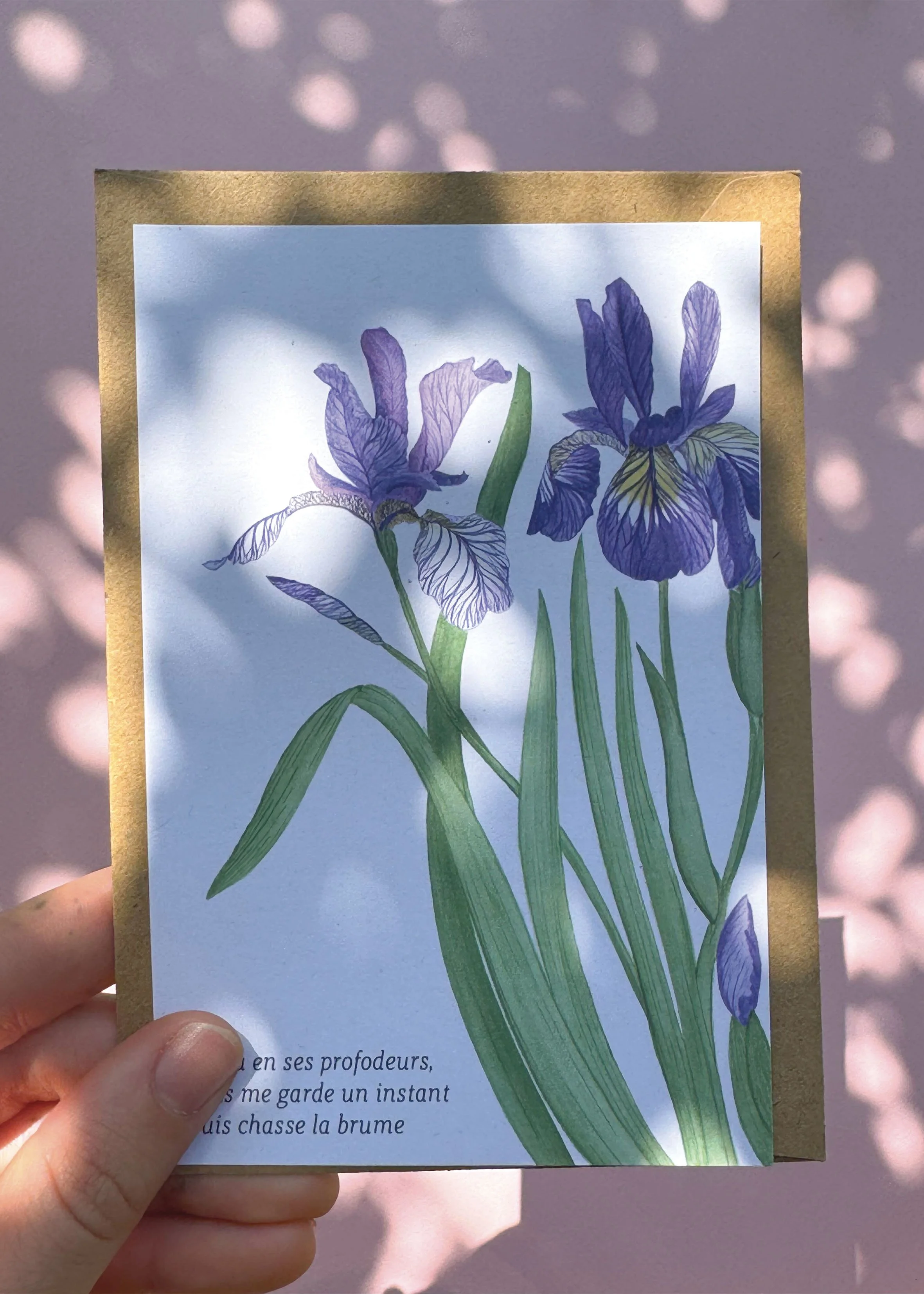 Iris carte MN.jpg