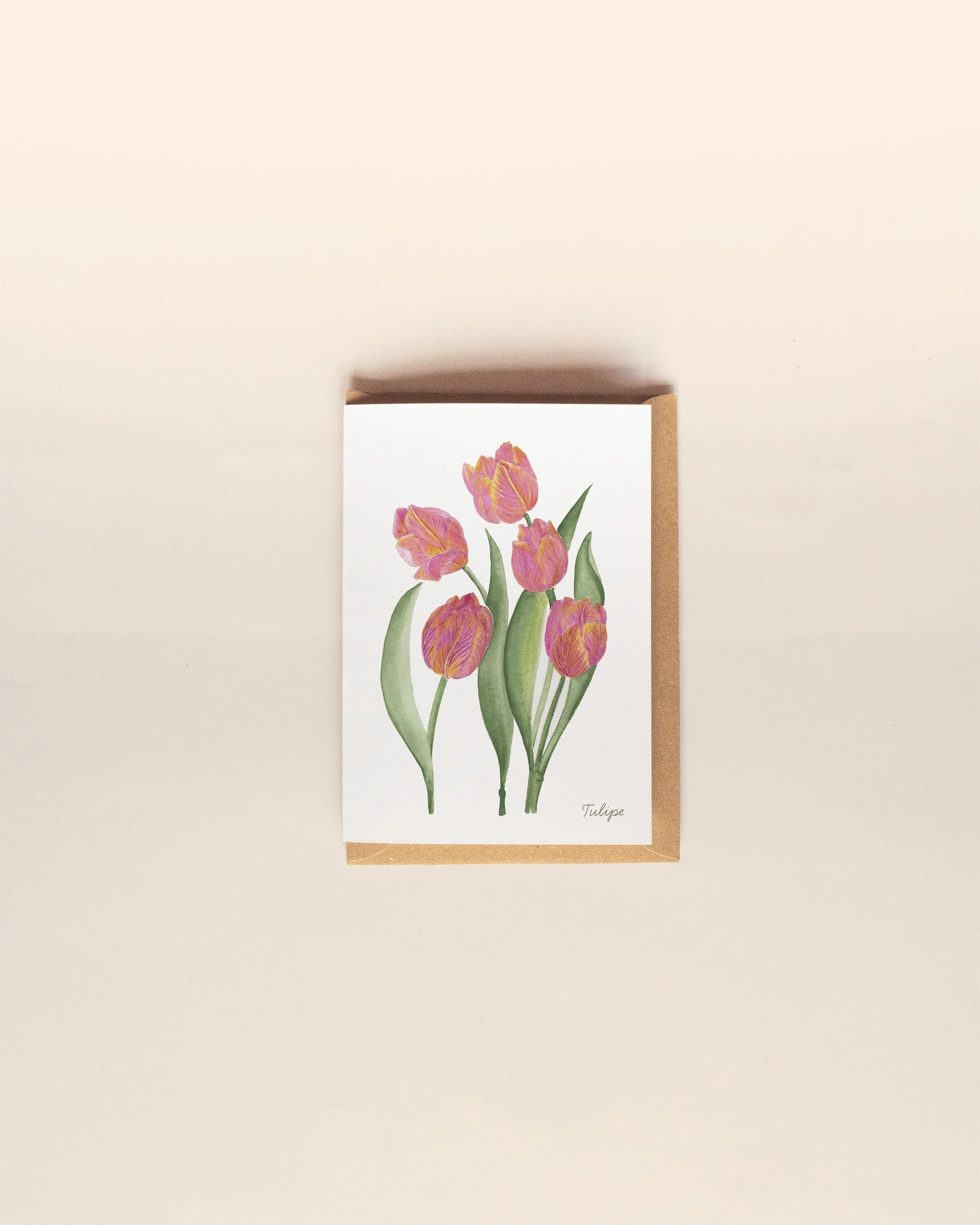 Tulipe - Bouquet éternel