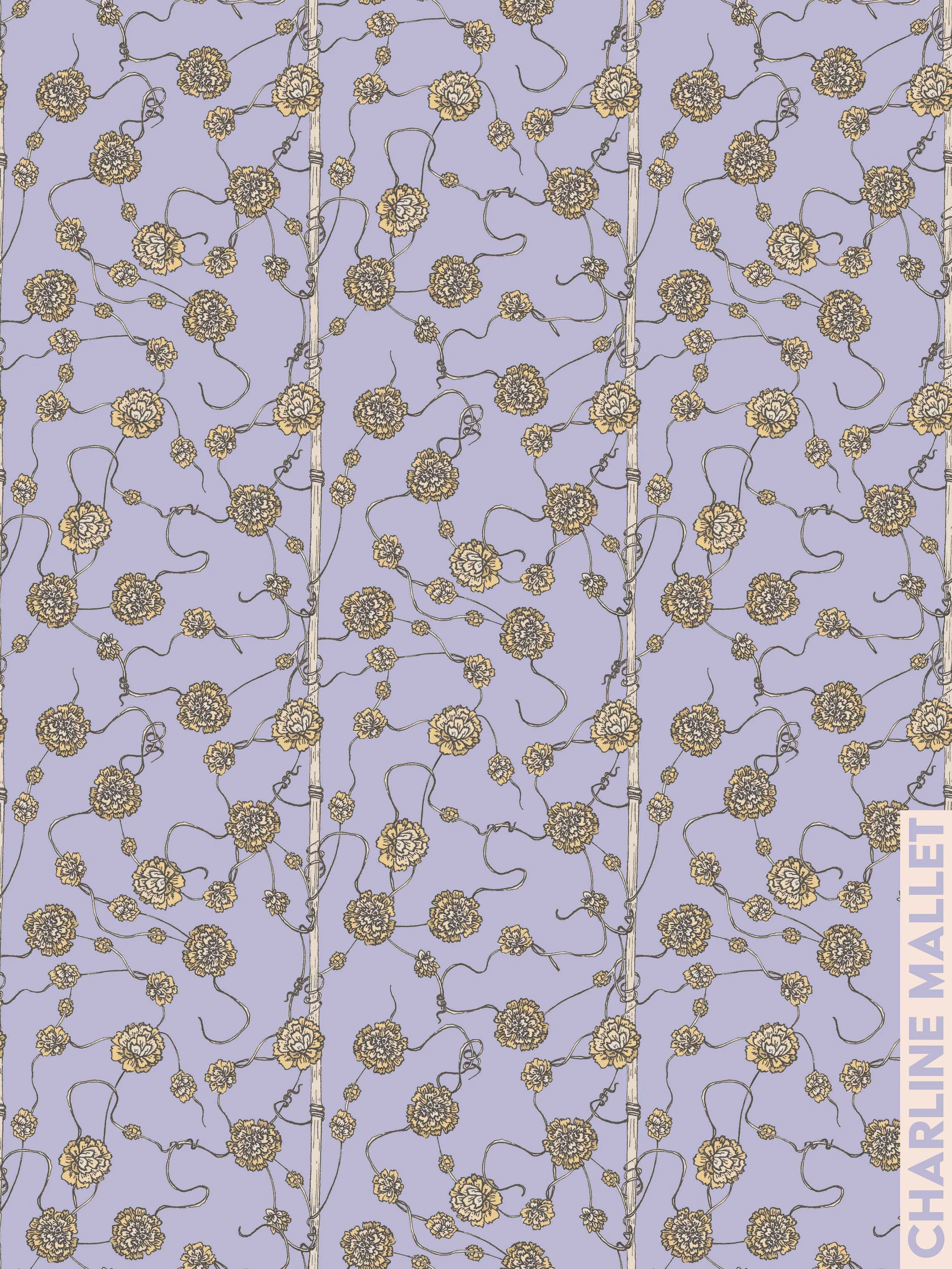 Cuscute du thym - Violet