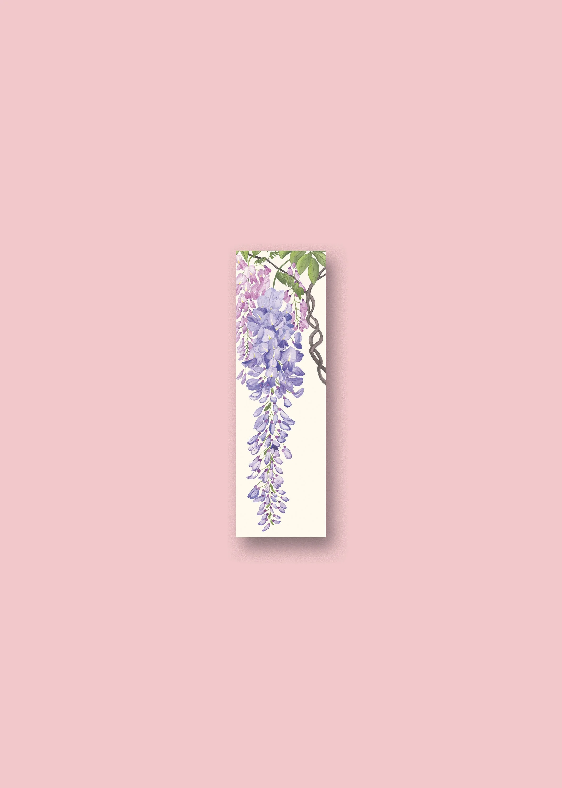 Glycine MQ Neutre.jpg