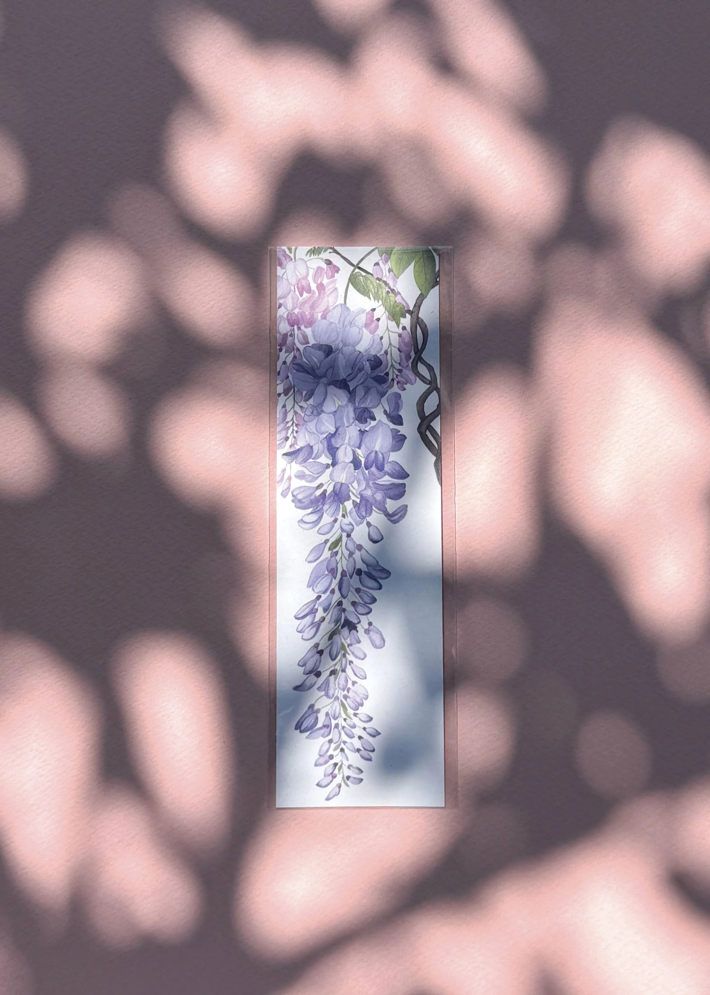 Glycine MQ.jpg