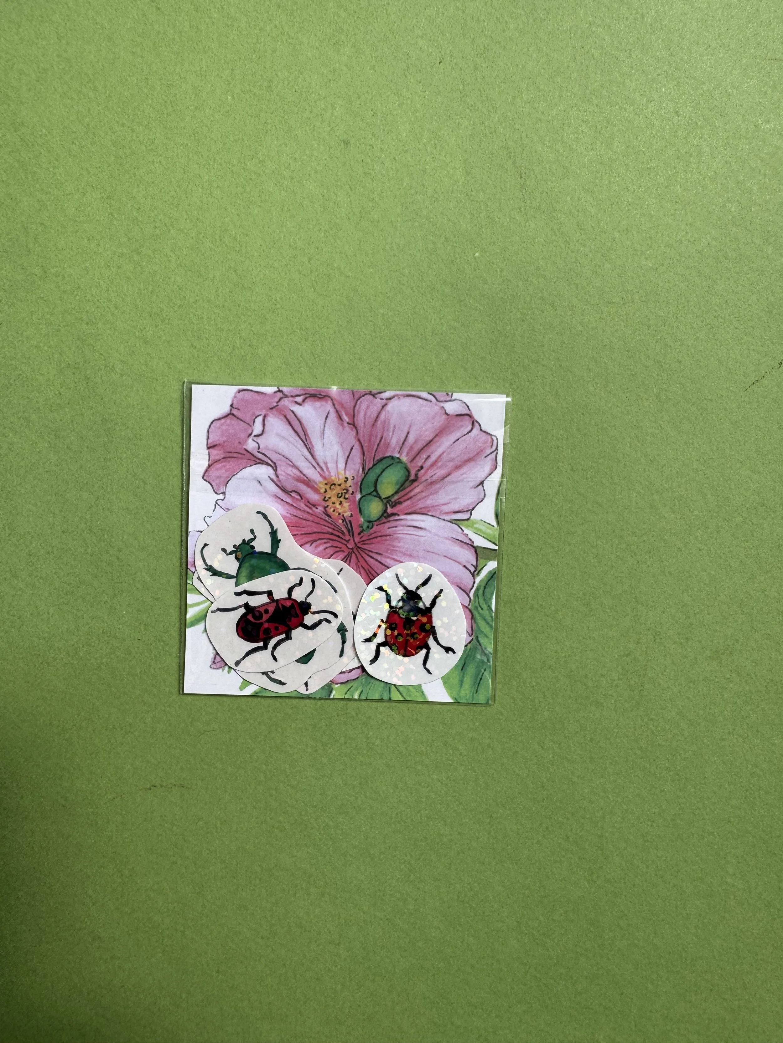IMG_6563.jpeg