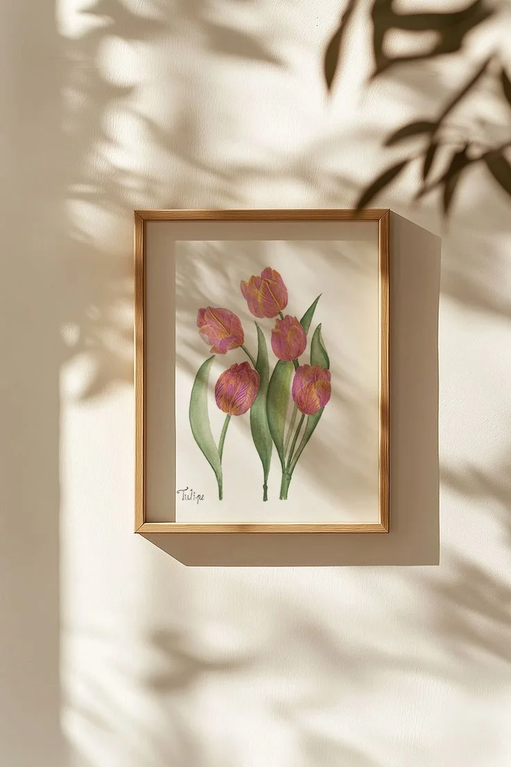 Tulipe