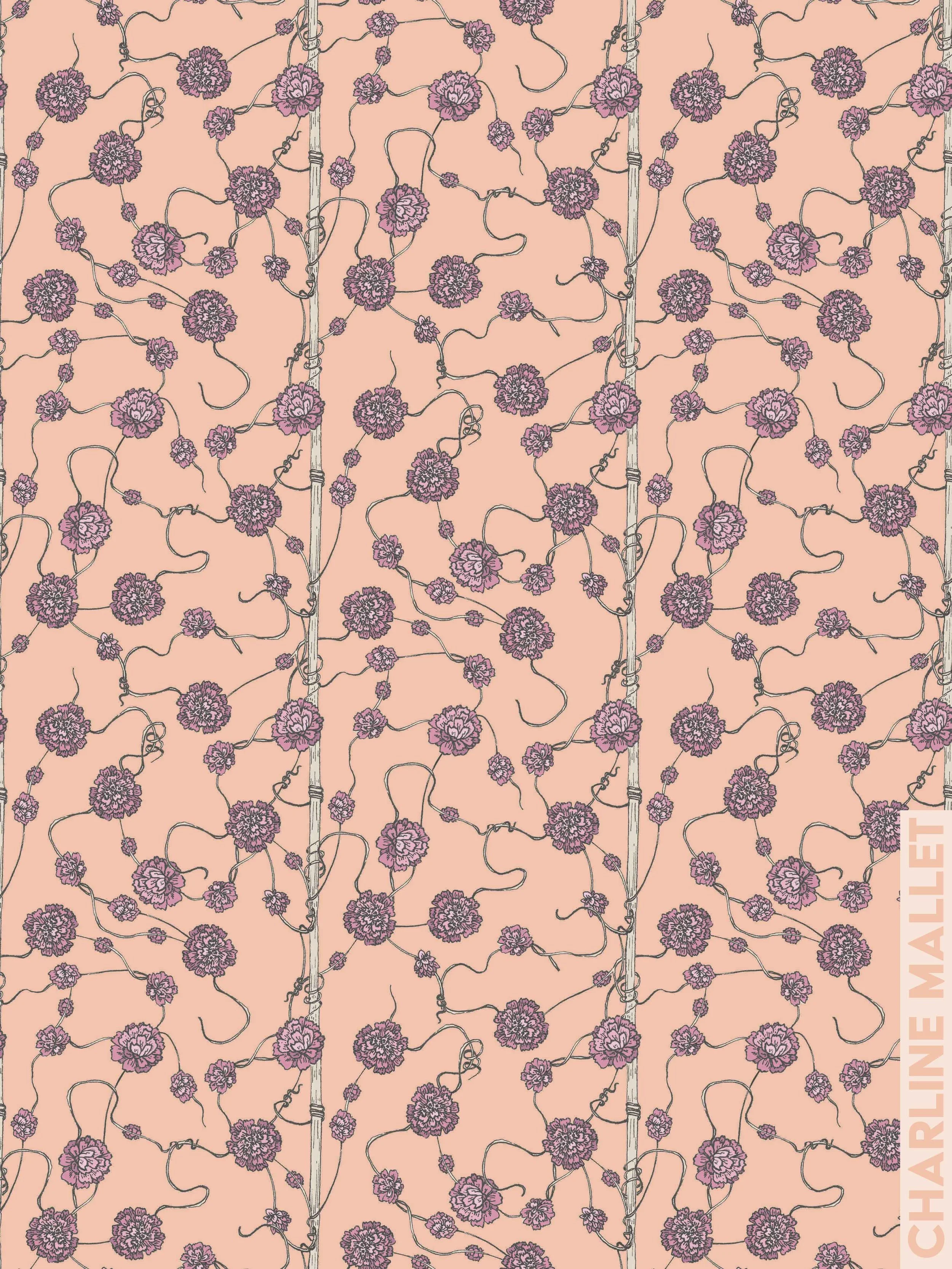 Cuscute du thym - Corail