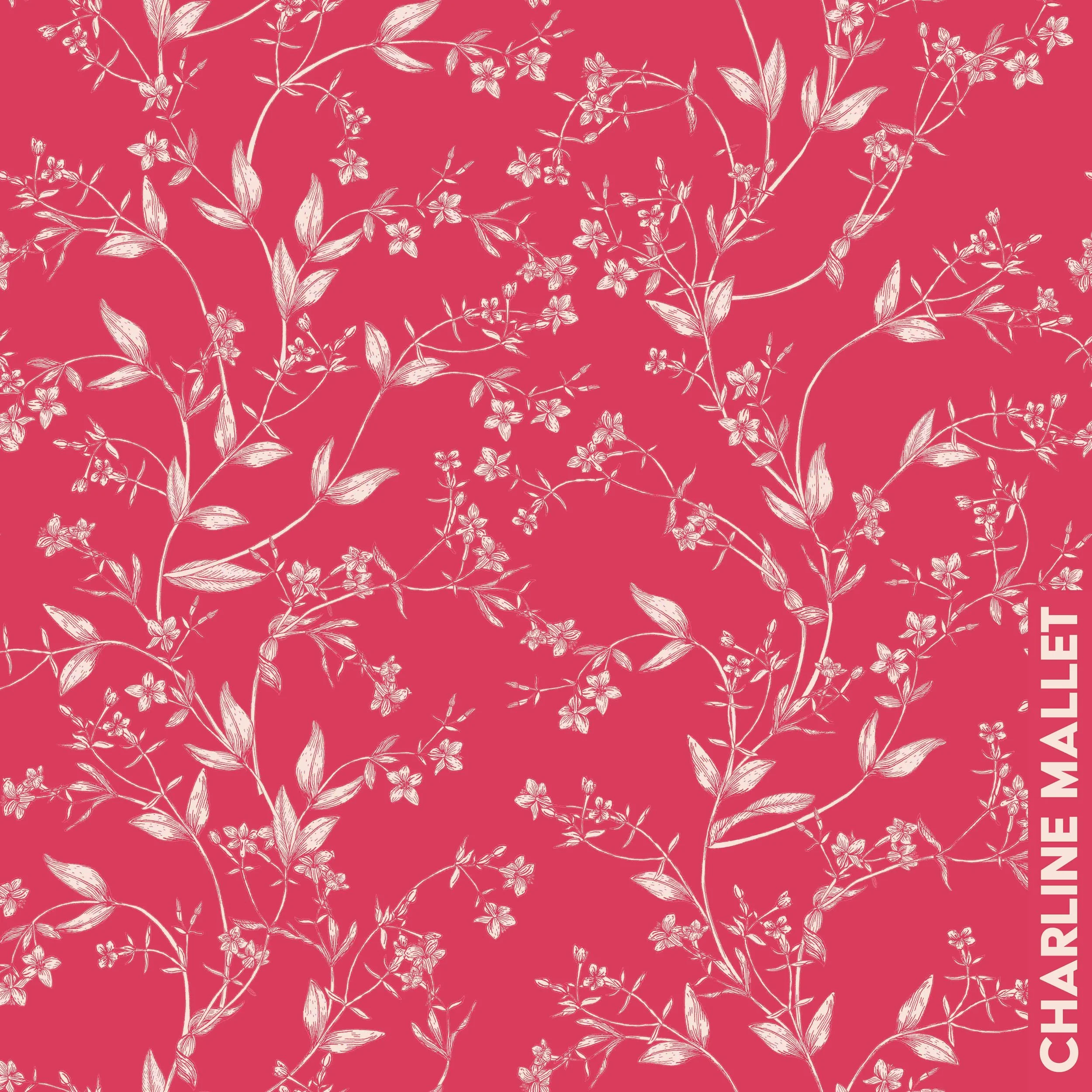 Petite Centurée - Rouge