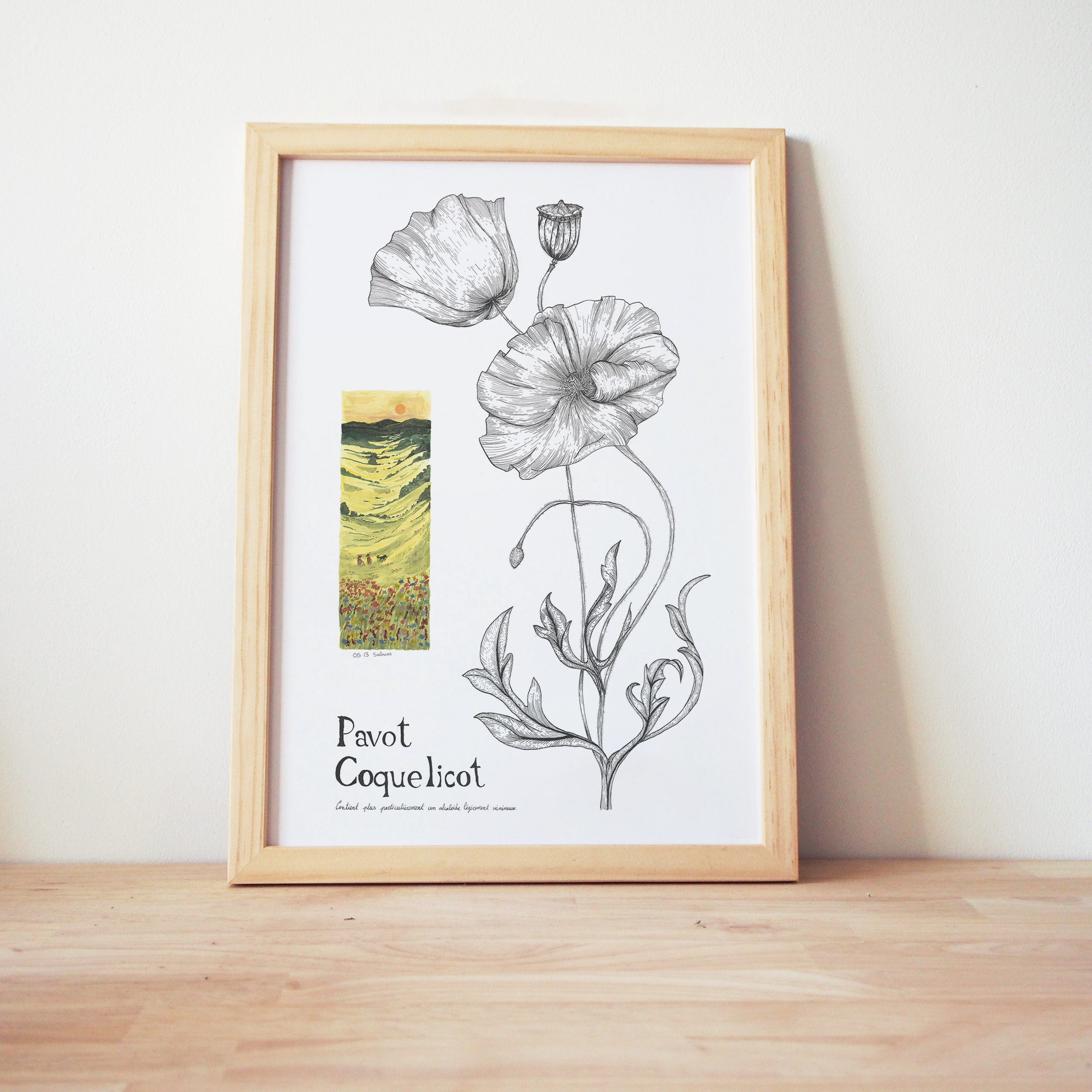 Coquelicot 3.jpg
