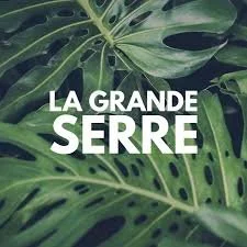 La grande serre.jpeg