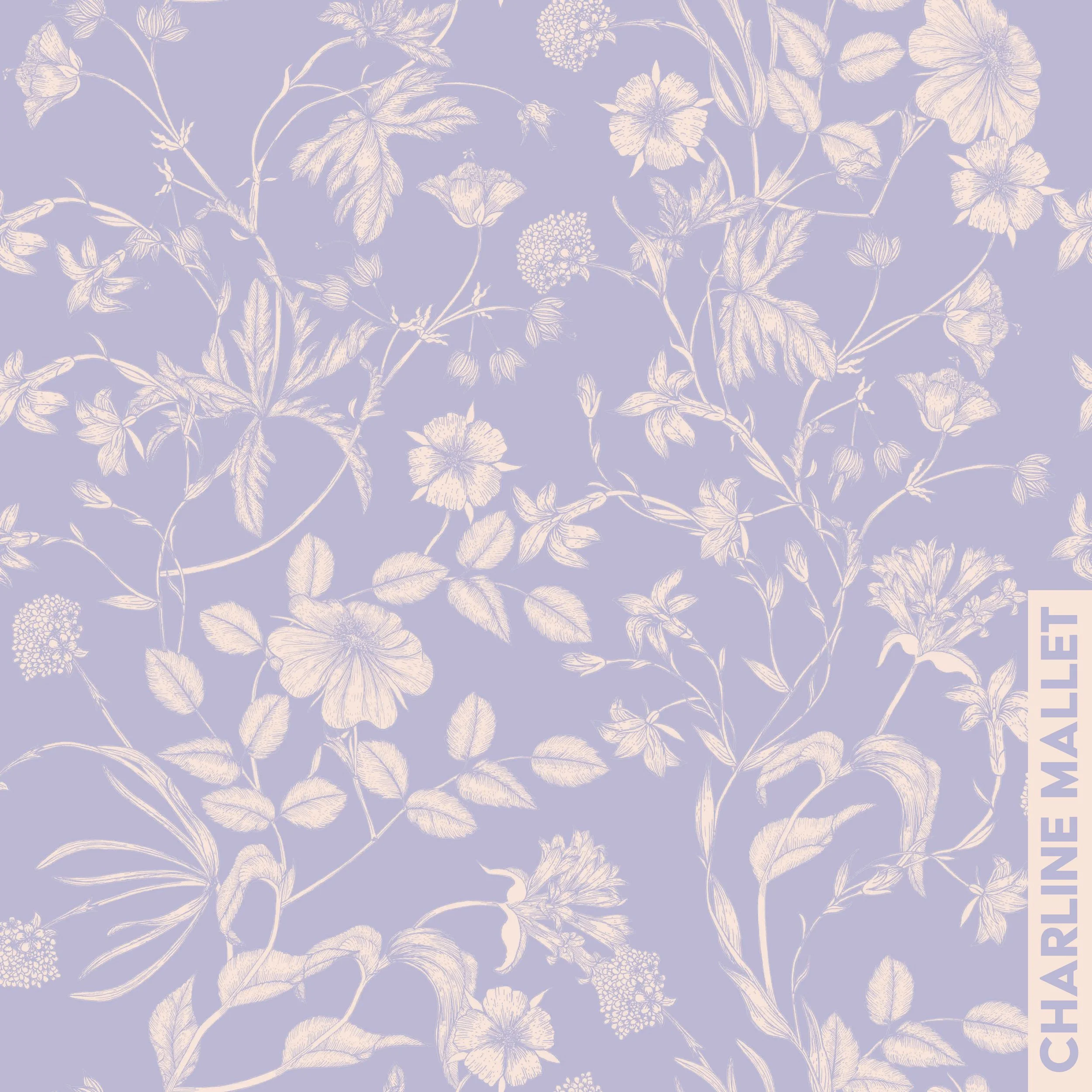 Arabesque des champs - Violet