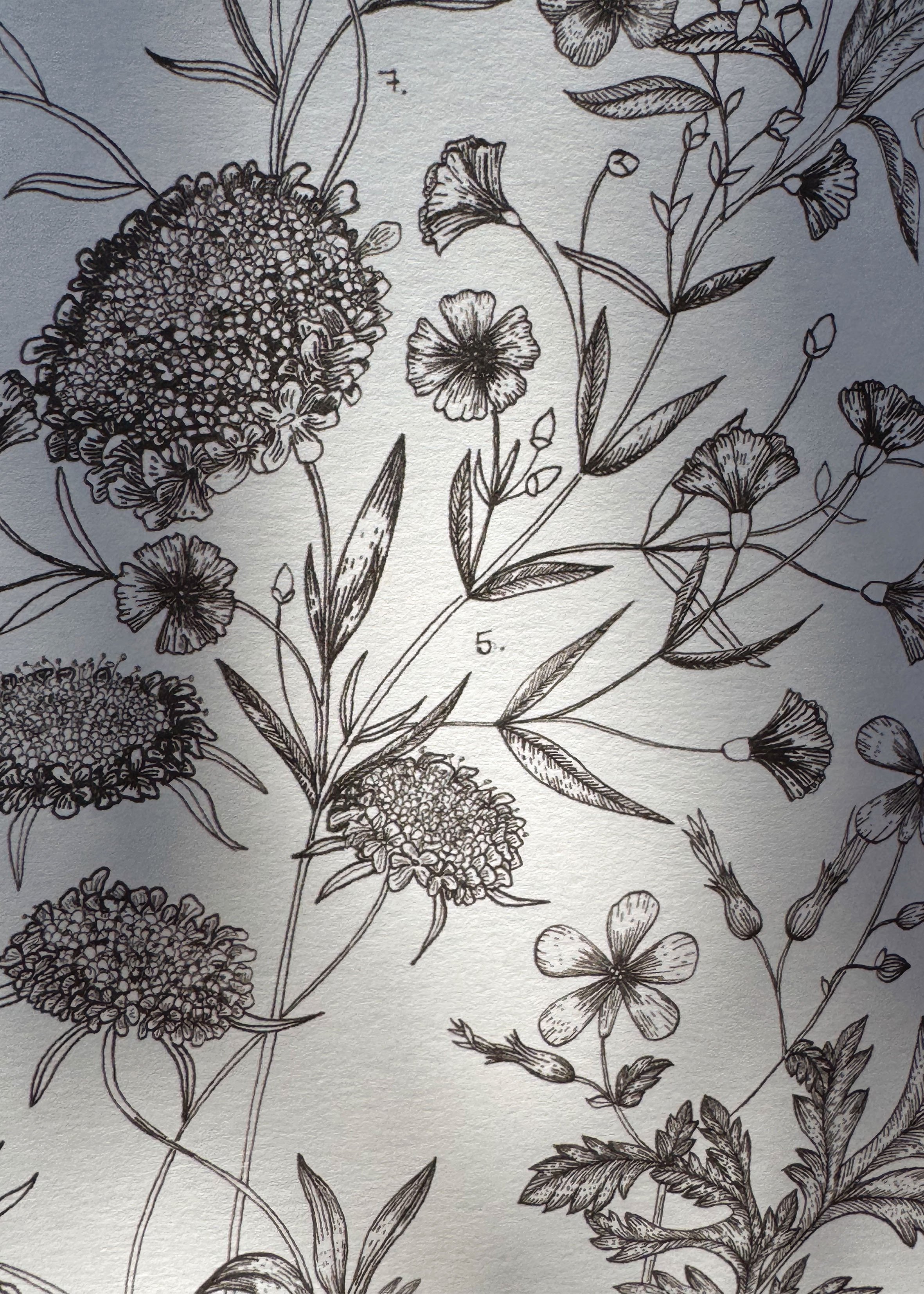 Fleurs des champs zoom.jpg