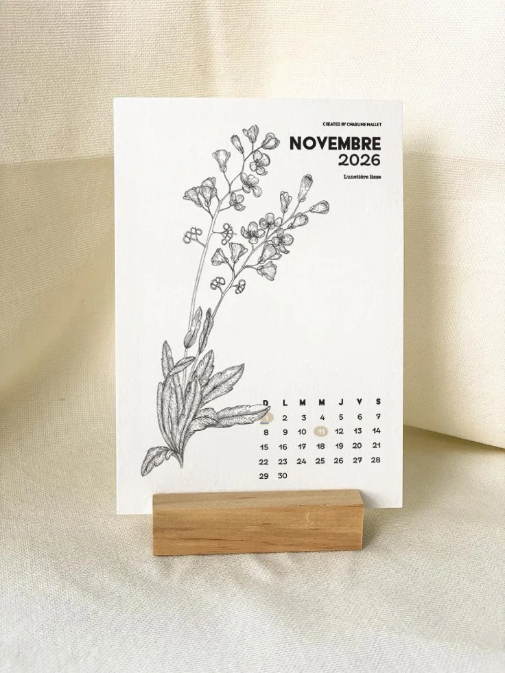 Nov.jpg