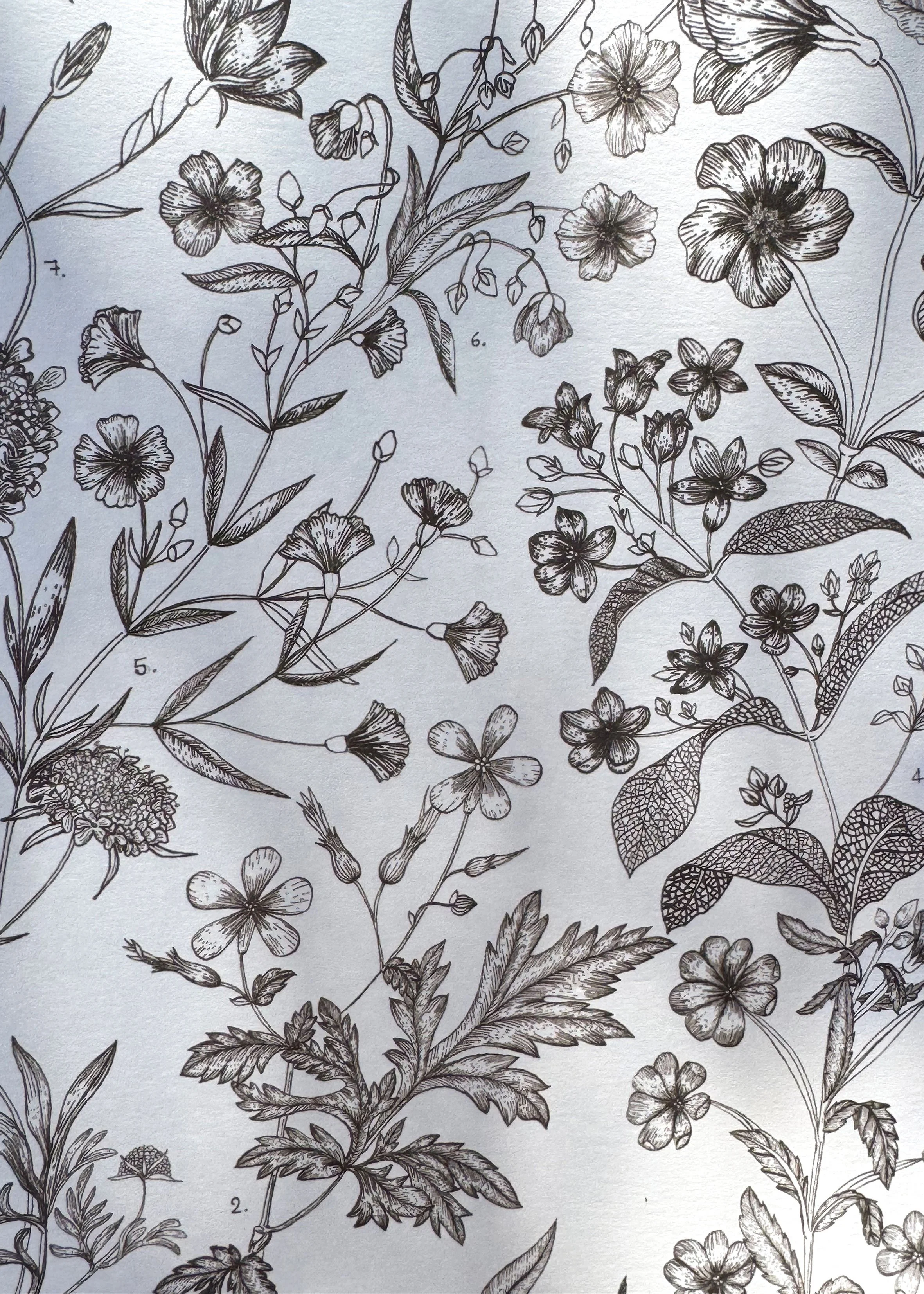 Fleurs des champs zoom 2.jpg