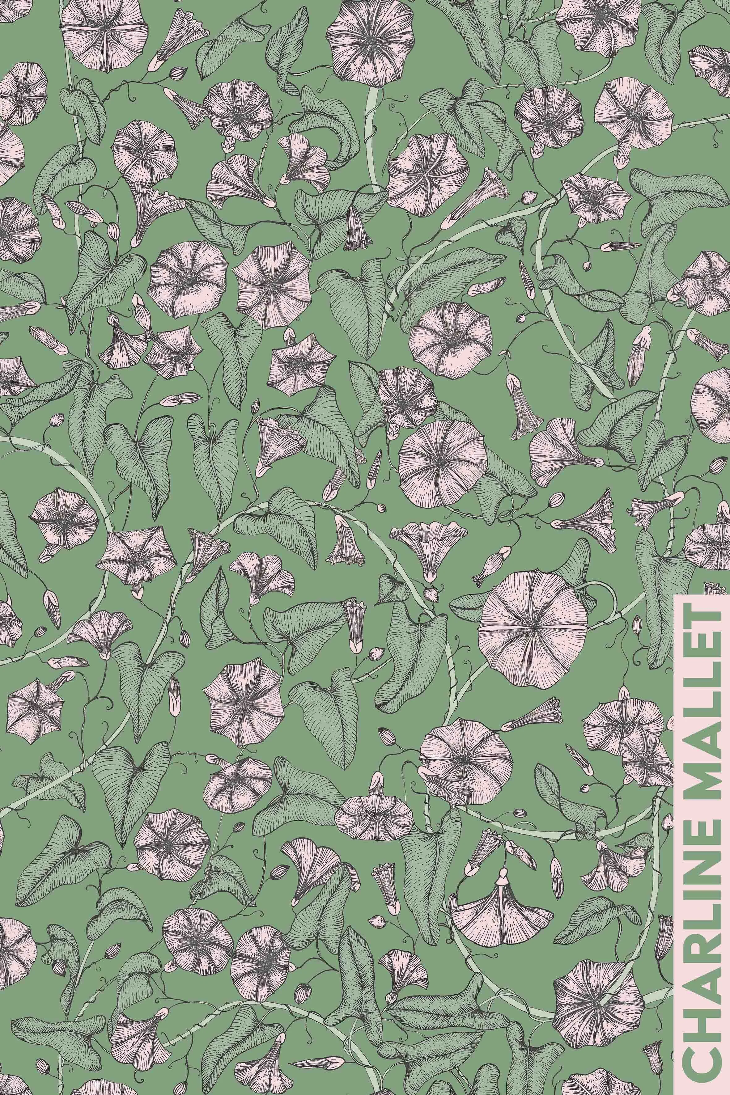 Liserons des champs - Vert