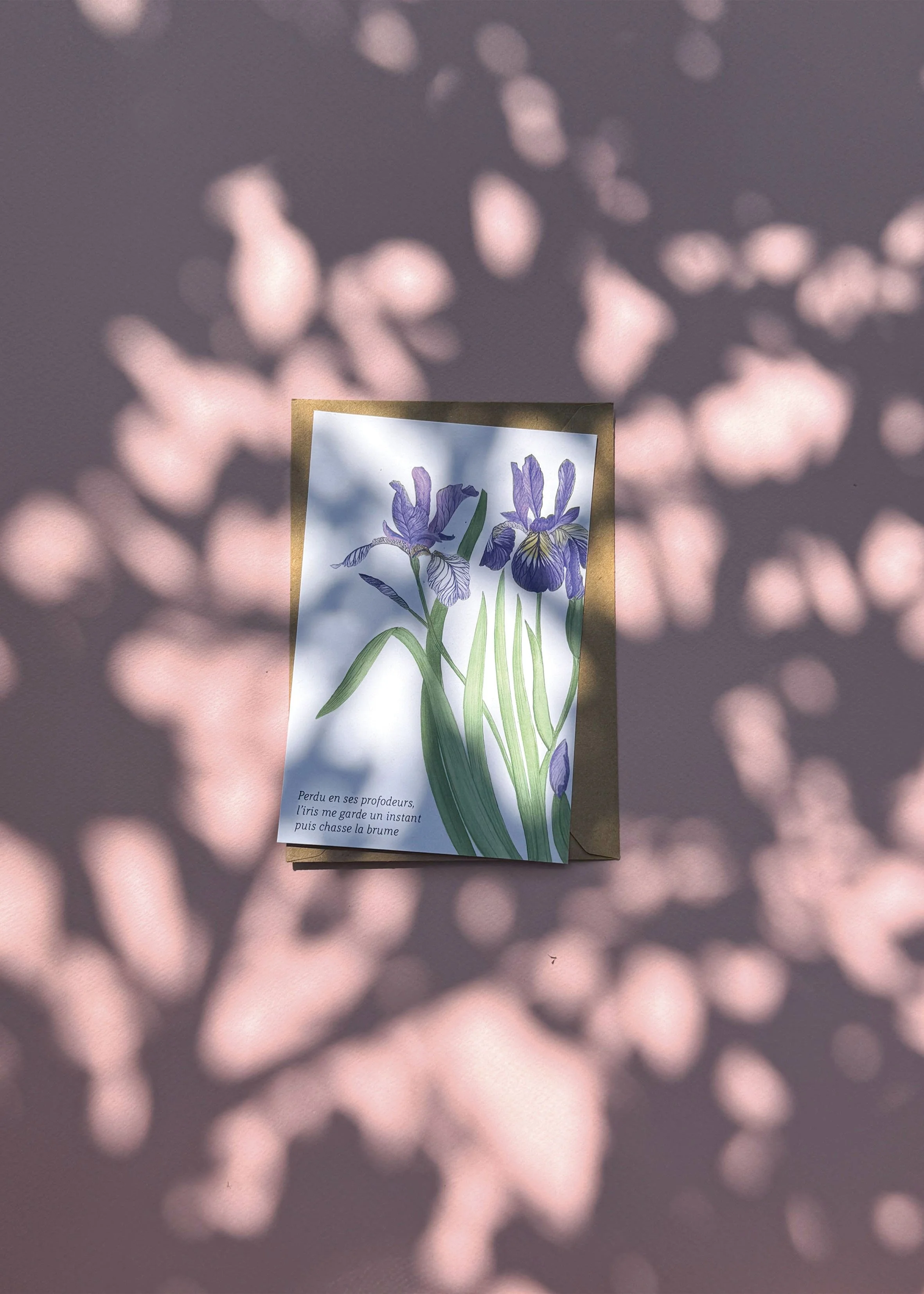 Iris carte.jpg
