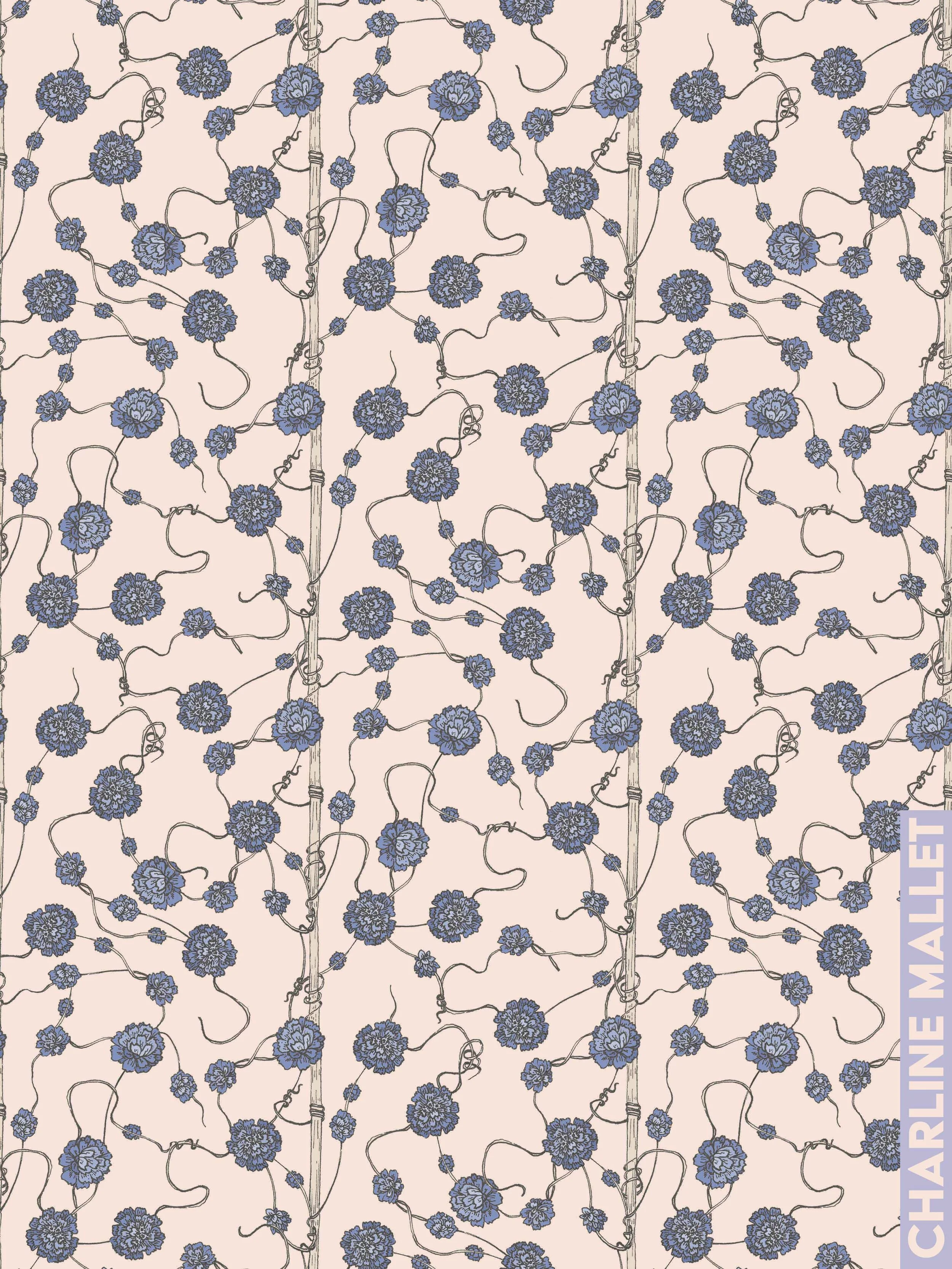 Cuscute du thym - Beige.jpg